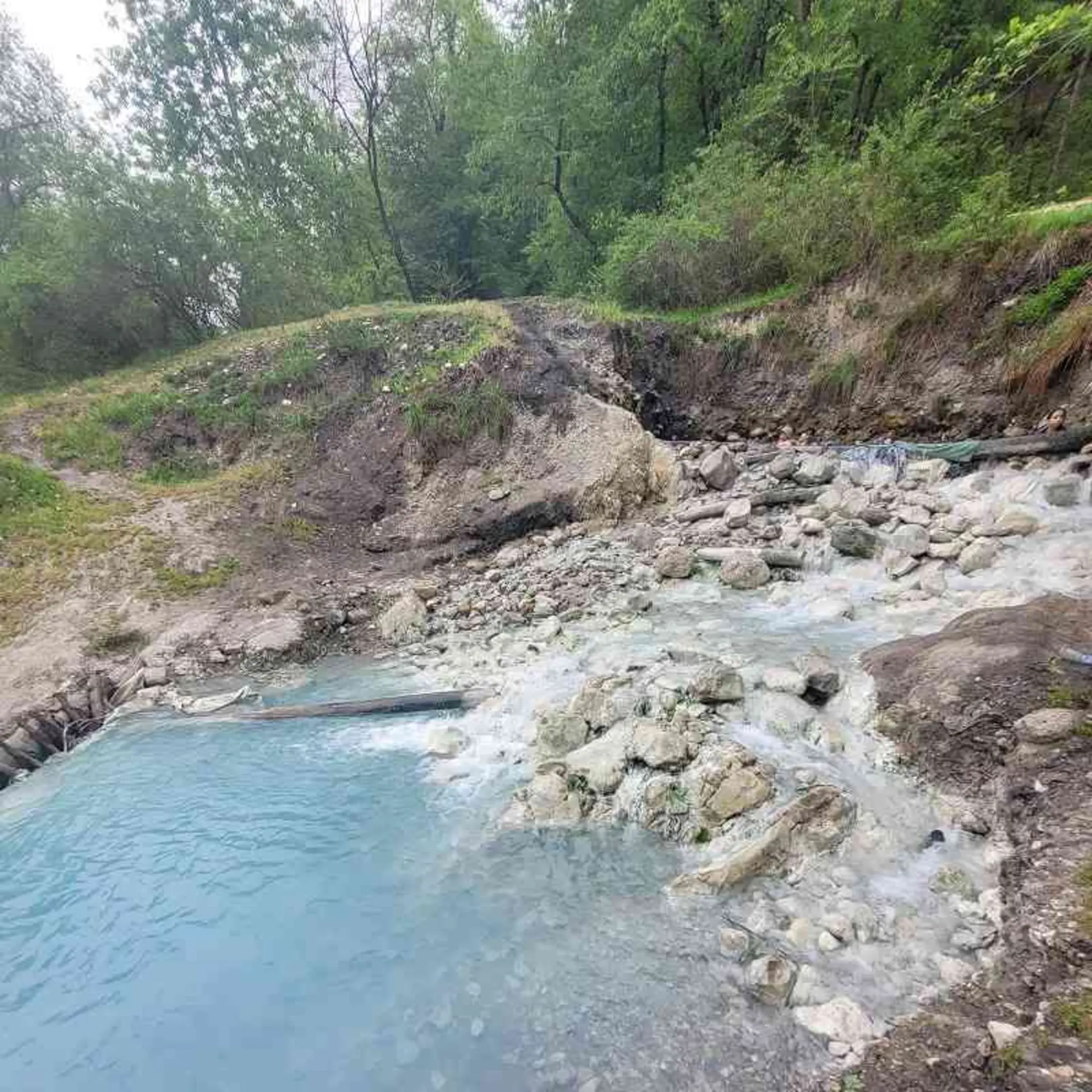 جنگل و چشمه آبگرم بلیران؛ منبع عکس: گوگل مپ؛ عکاس: مهدی عباسی