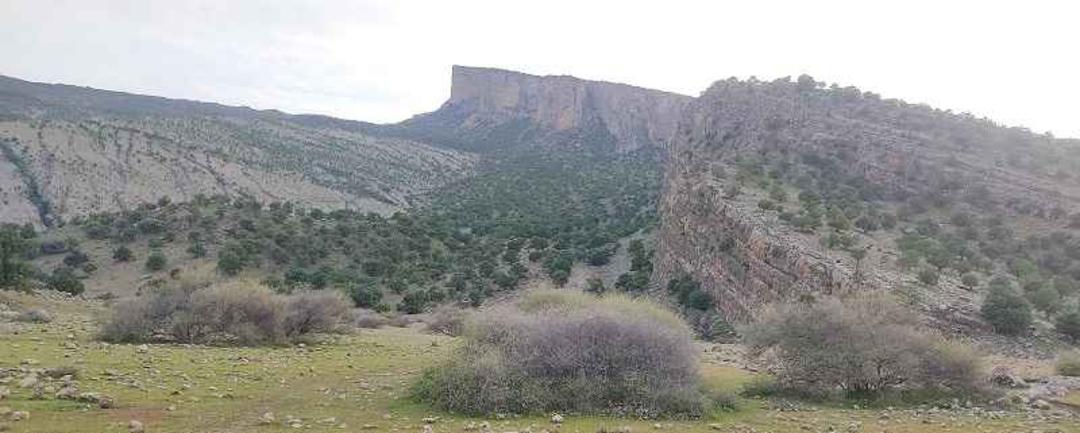زمین لغزش عظیم سیمره، منبع عکس: ویکی لاک، عکاس: صابر بیگی