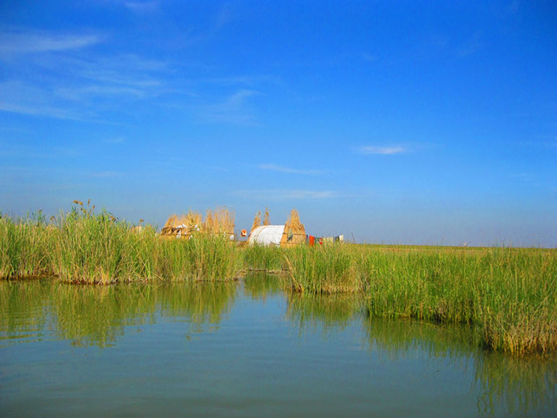 تالاب بین المللی شادگان؛ منبع عکس: گوگل مپ؛ عکاس: حامد یونسی