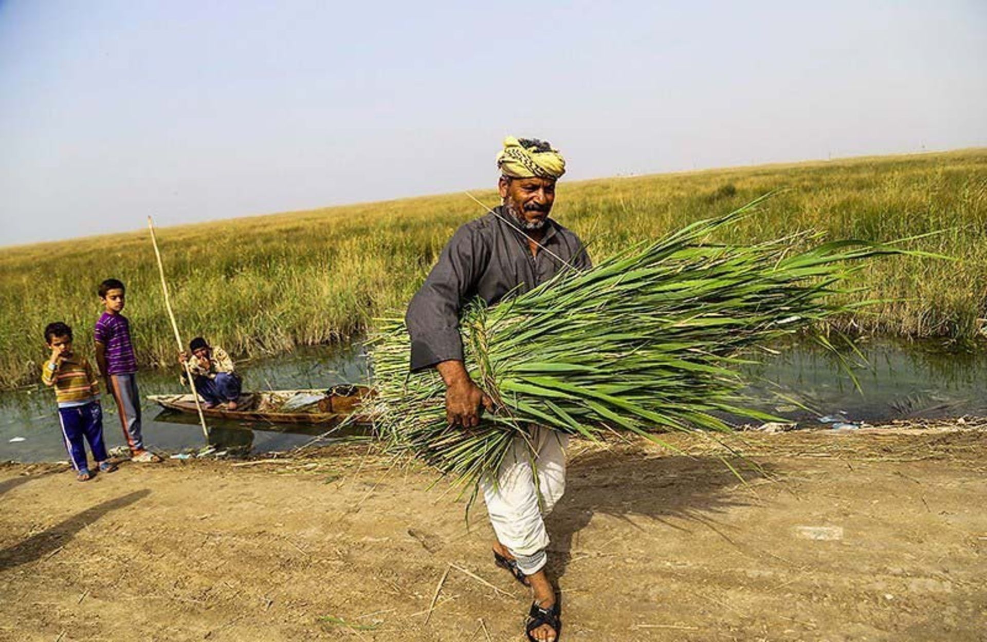 مردی با دسته‌ای از گیاهان محلی در سراخیه؛ منبع عکس: tasnim news؛ عکاس: مهدی پدرام خو