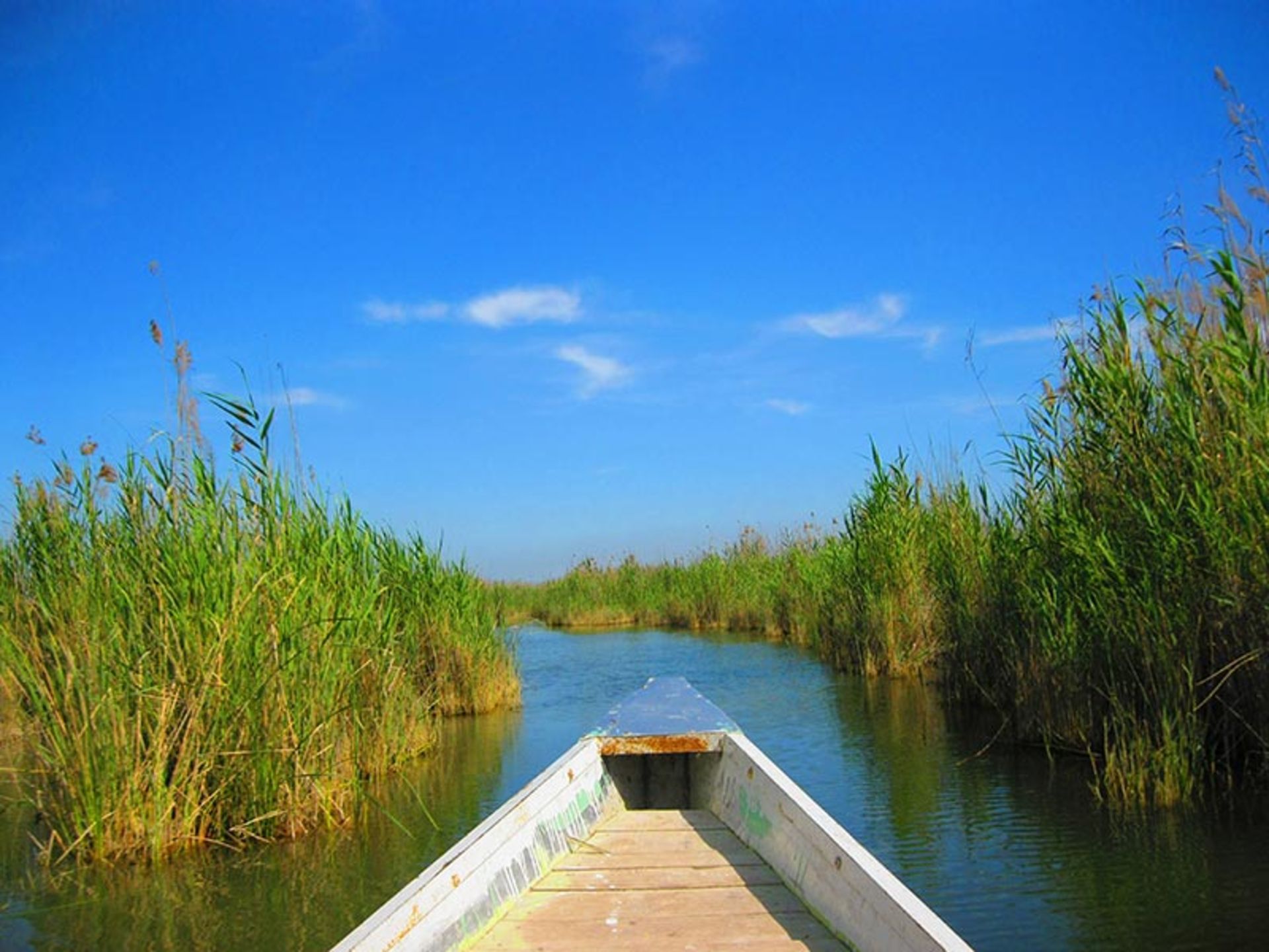 قایقی در تالاب شادگان؛ منبع عکس: گوگل مپ؛ عکاس: حامد یونسی