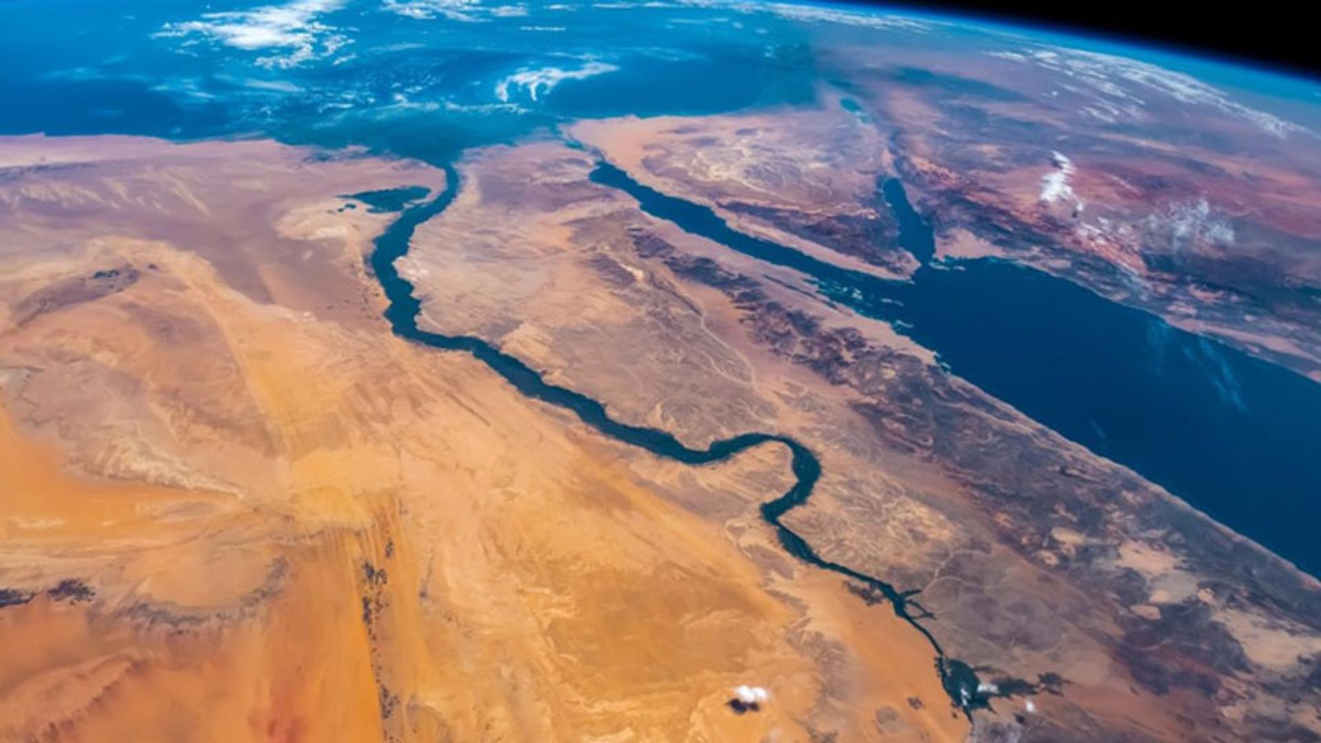 منبع عکس: IFLScience، عکاس: نامشخص