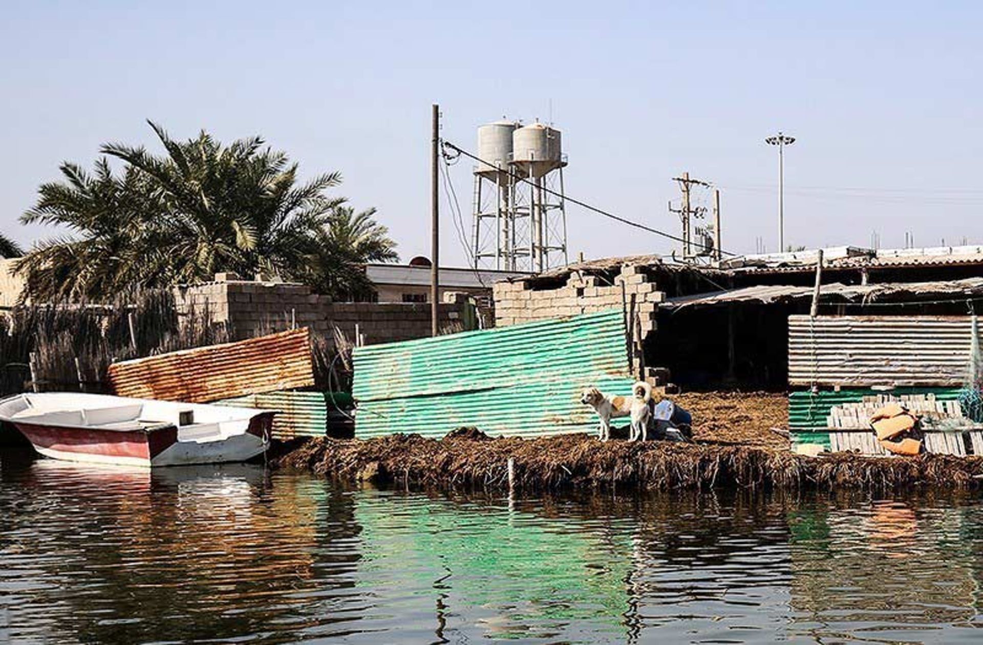 نمایی از سازه‌های روستایی کنار تالاب شادگان؛ منبع عکس: tasnim news؛ عکاس: مهدی پدرام خو