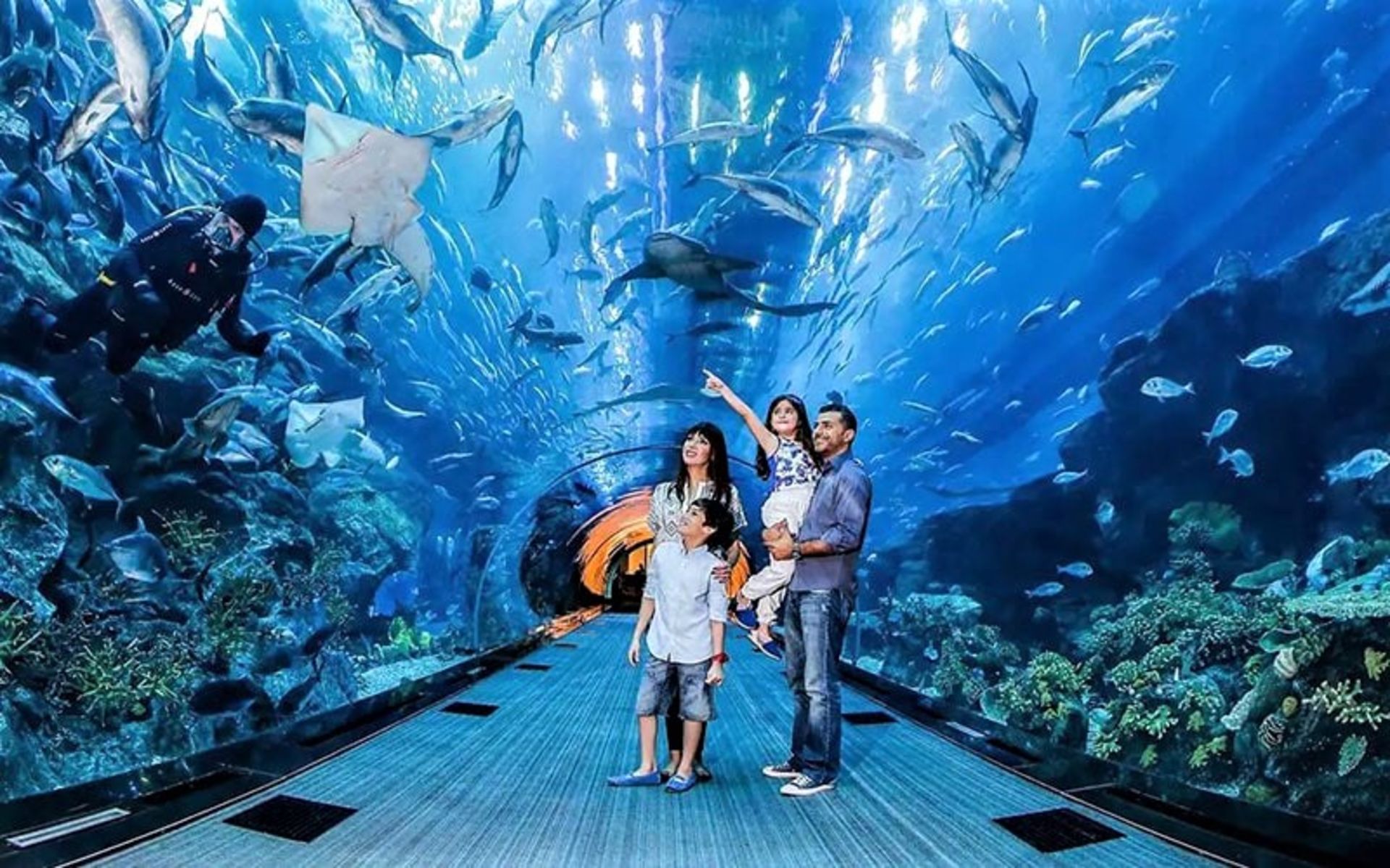 آکواریوم دبی، منبع عکس: visitdubai.com، عکاس: ناشناس