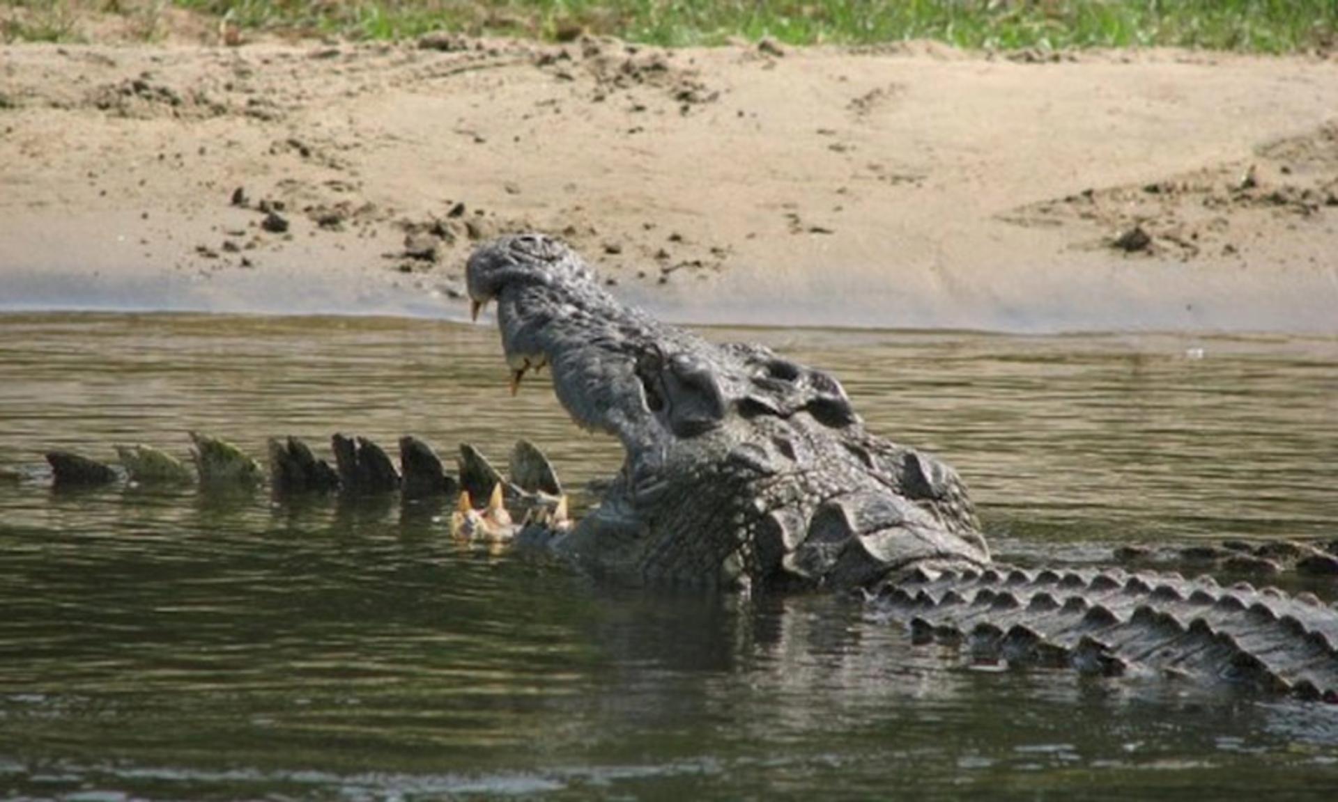 منبع عکس: National Geographic، عکاس: نامشخص