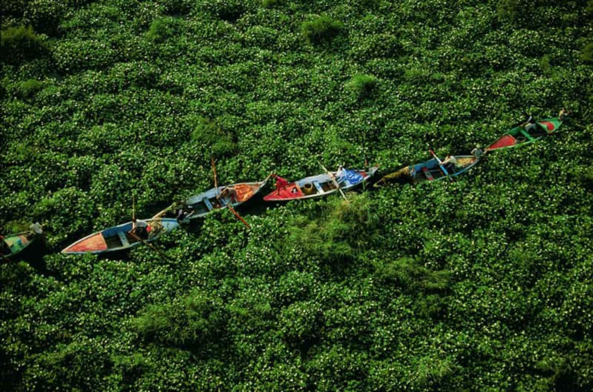 طبیعت رود نیل؛ منبع عکس: Yann_Arthus_Bertrand_Photo، عکاس: Yann_Arthus_Bertrand