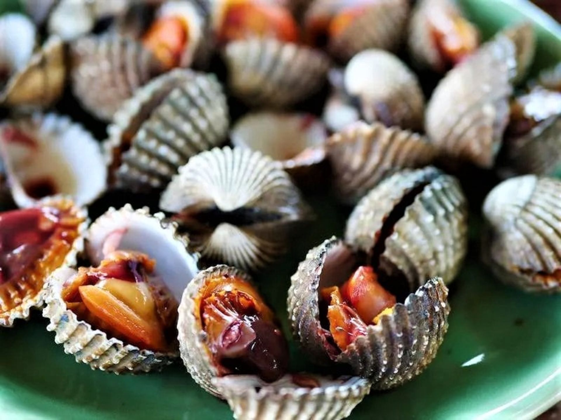 صدف خونی