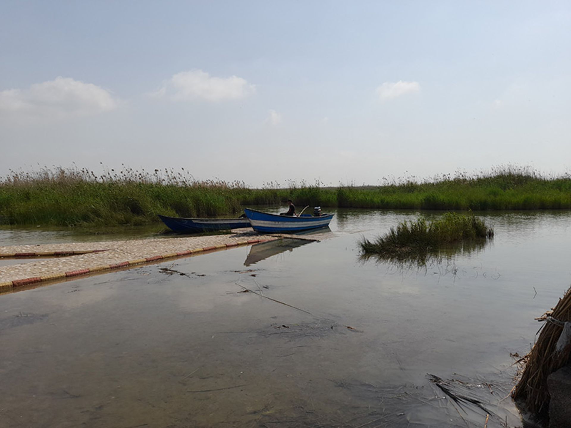 قایقی در تالاب شادگان؛ منبع عکس: گوگل مپ؛ عکاس: ساسان عبدی