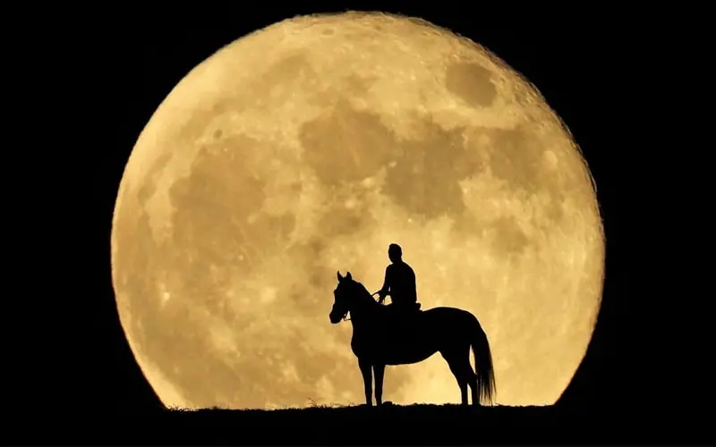 اسب سوار با پس زمینه ابرماه