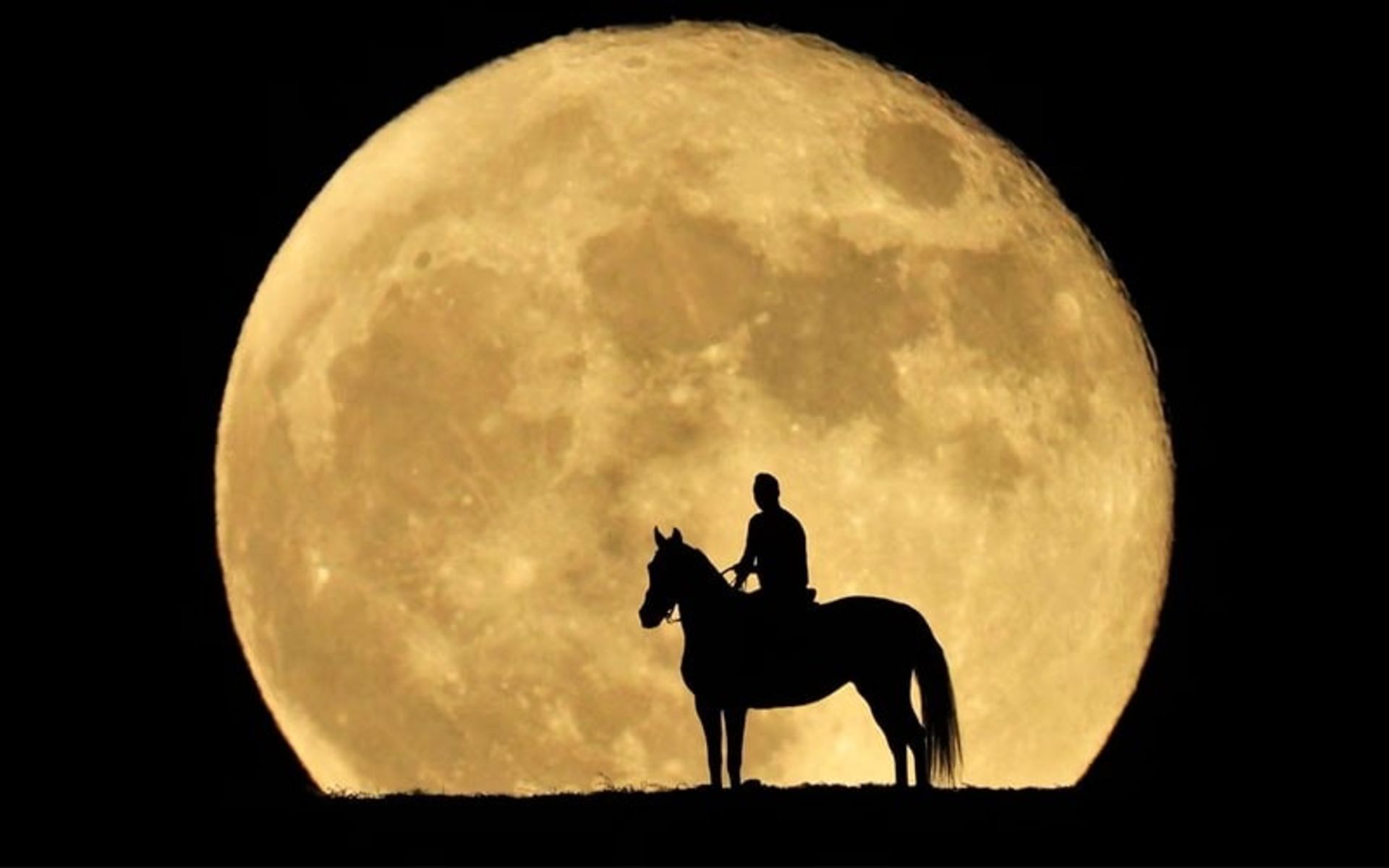 اسب سوار با پس زمینه ابرماه