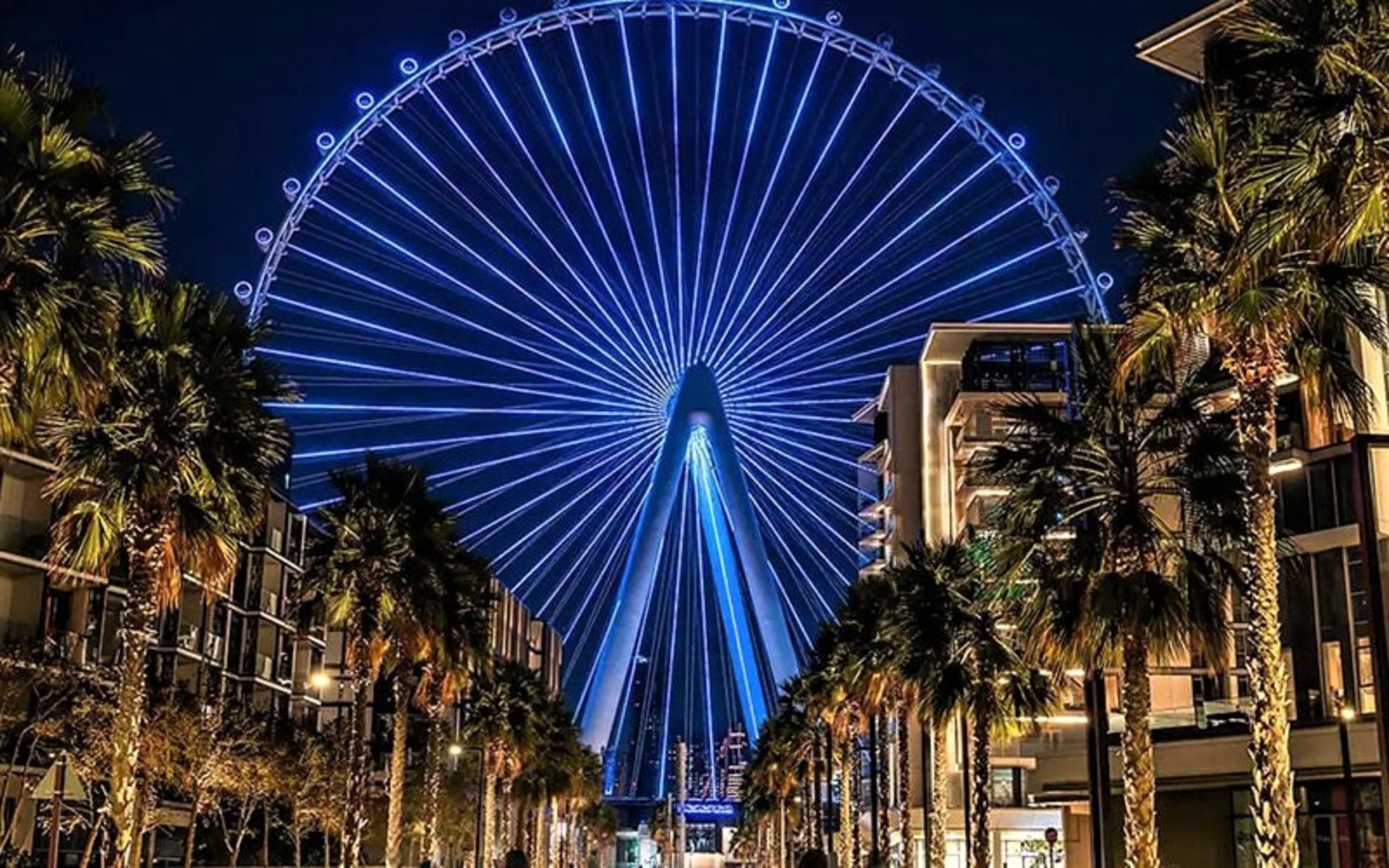 چرخ و فلک جزیره بلو واترز دبی، منبع عکس: visitdubai.com، عکاس: ناشناس