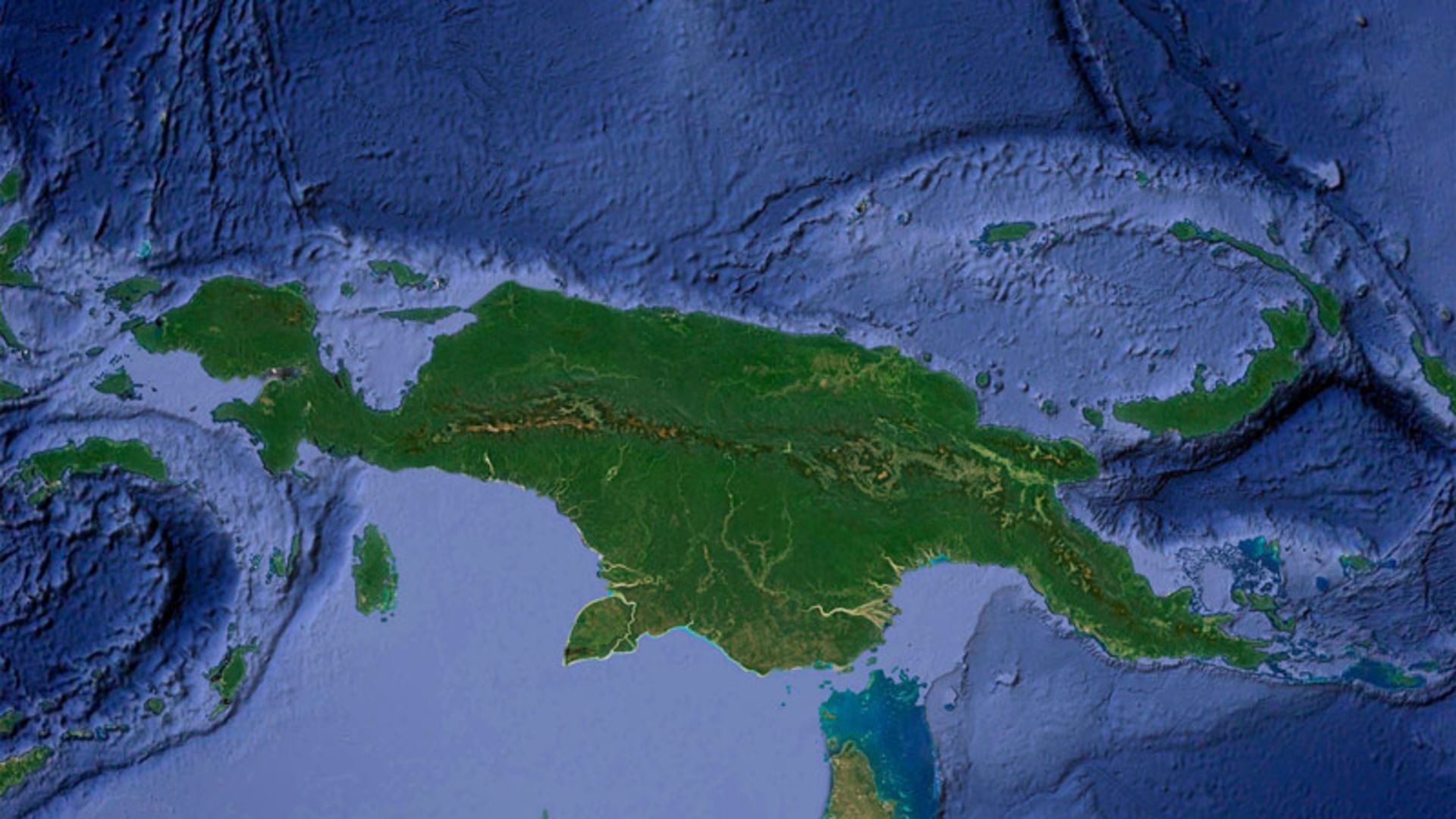 جزیره گینه نو؛ منبع عکس: The Rainforest Mongabay، عکاس: نامشخص
