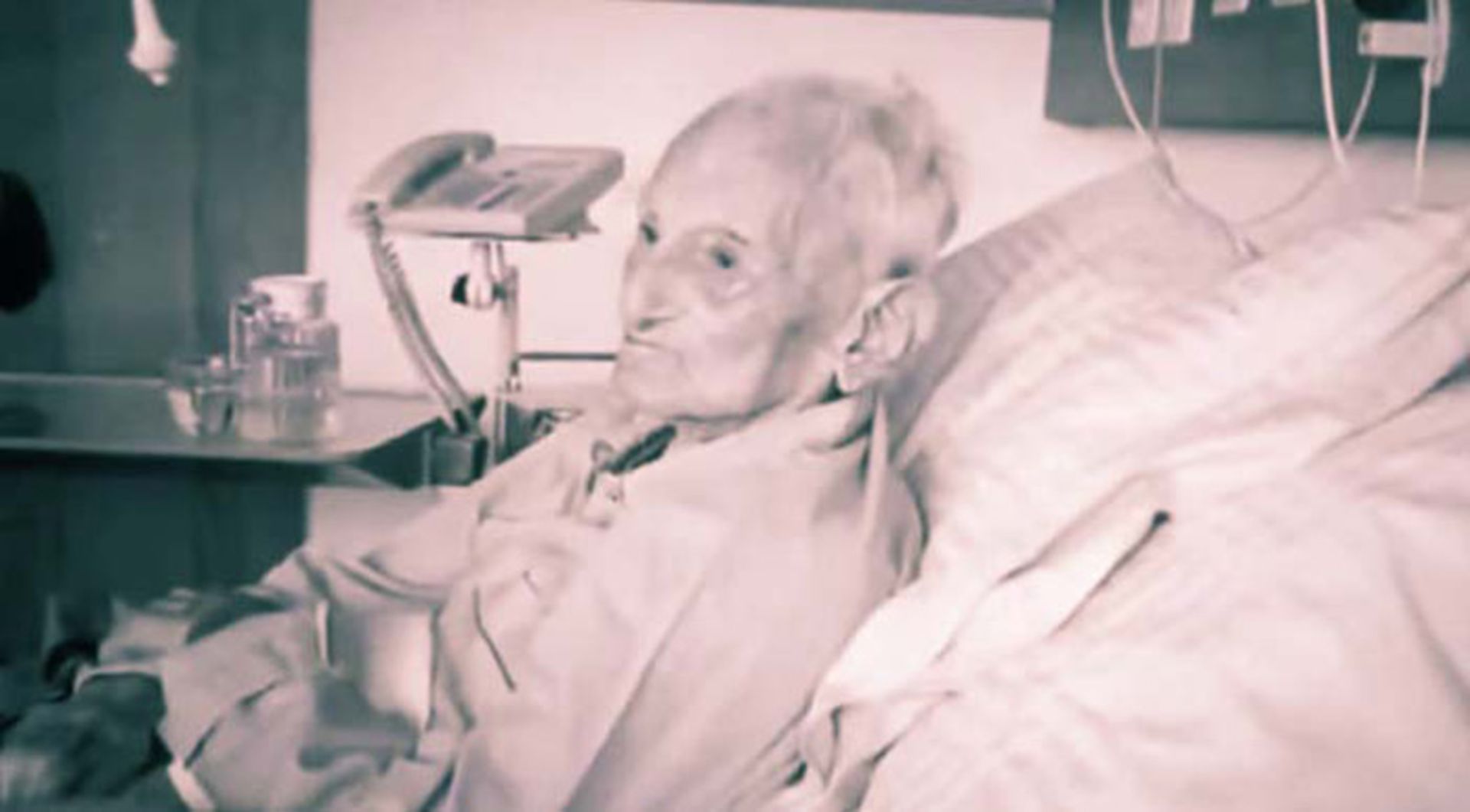 محمدعلی جمالزاده در اواخر عمر