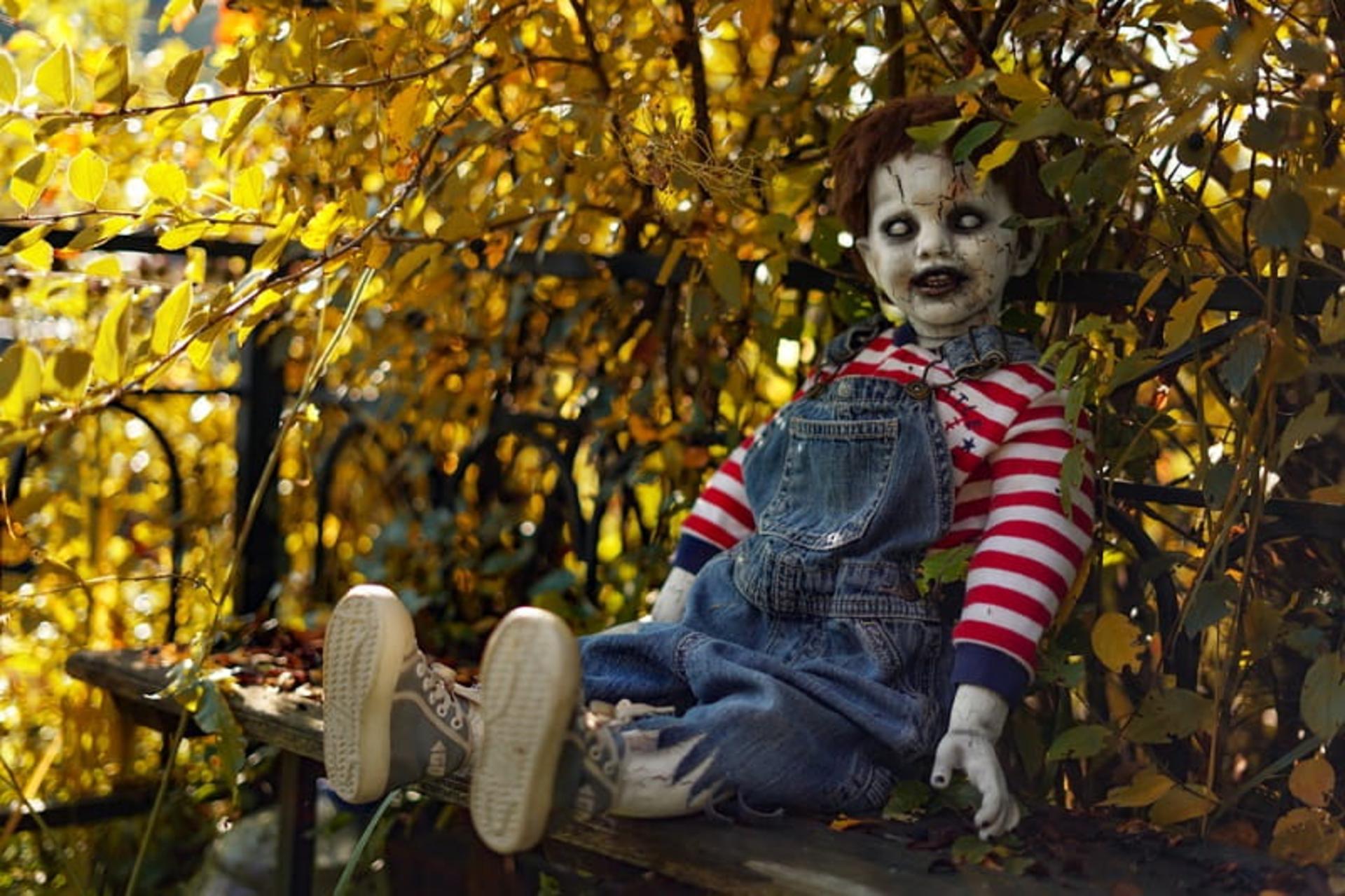 موزه عروسک‌های مرده، منبع: dead-dolls.museum