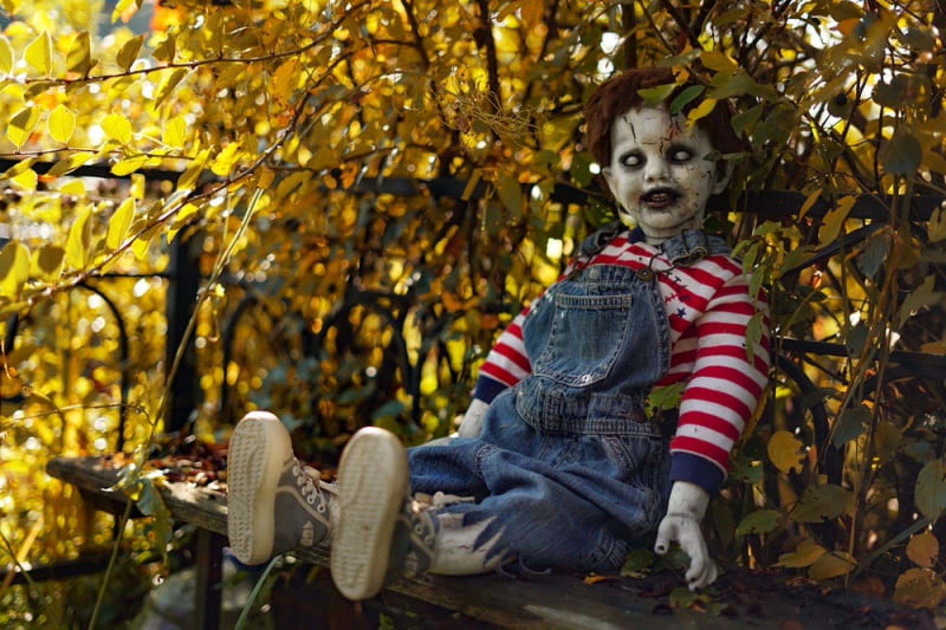 موزه عروسک‌های مرده، منبع: dead-dolls.museum