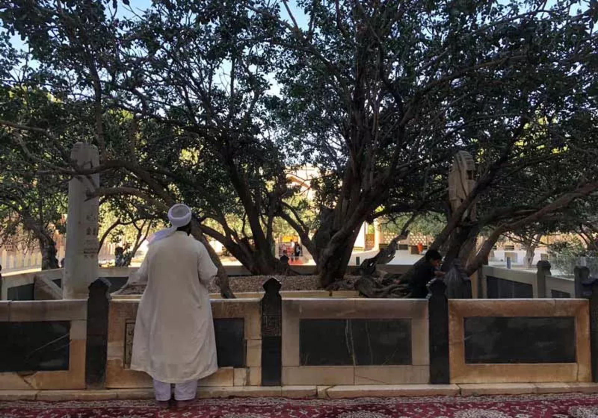 آرامگاه شیخ احمد جامی؛ منبع عکس: گوگل مپ؛ عکاس: محسن موسوی زاده