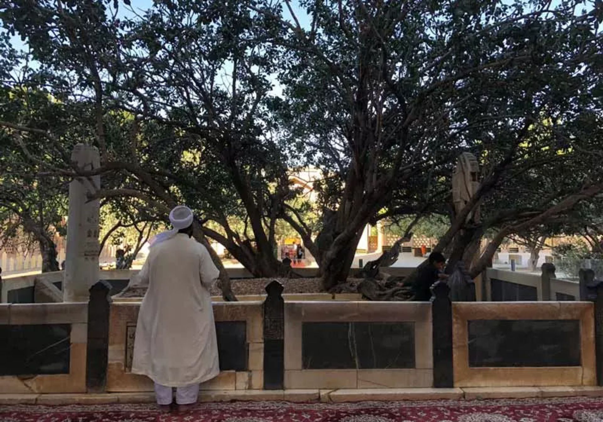 آرامگاه شیخ احمد جامی؛ منبع عکس: گوگل مپ؛ عکاس: محسن موسوی زاده