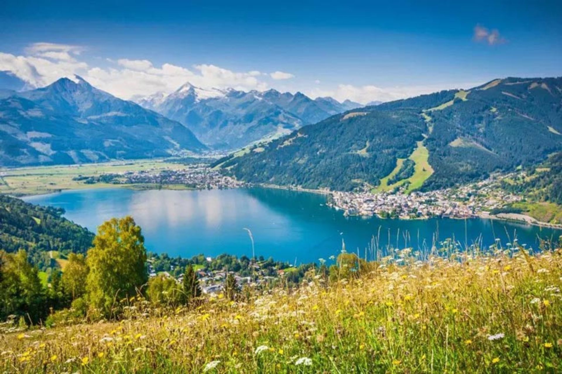 بهار در زل آم سی؛ منبع عکس: ispo.com؛ عکاس: نامشخص