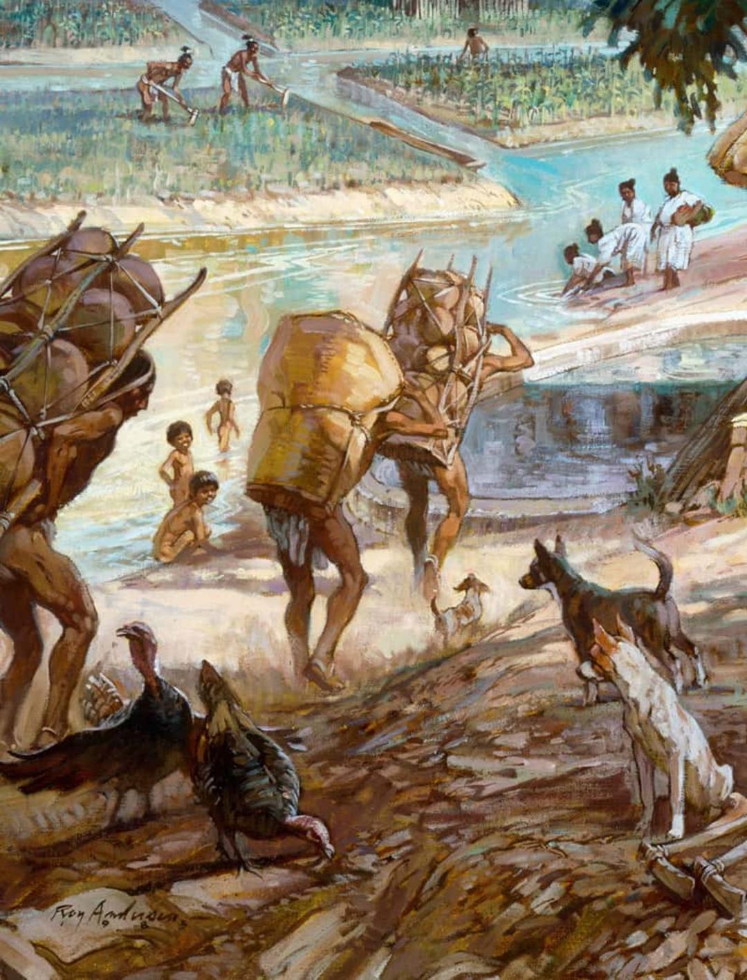 ناپدید شدن مایاها؛ منبع عکس: National Geographic، عکاس: Roy Andersen