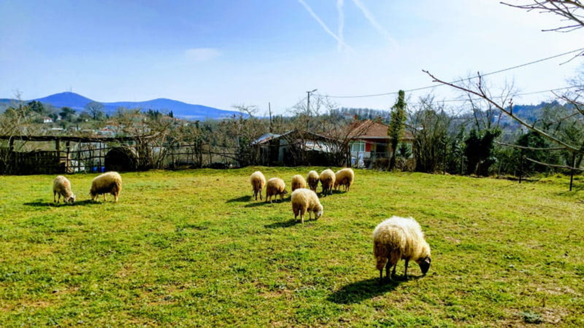 روستای رشادیه استانبول؛ منبع عکس: Google Maps، عکاس: Baris Ozturk