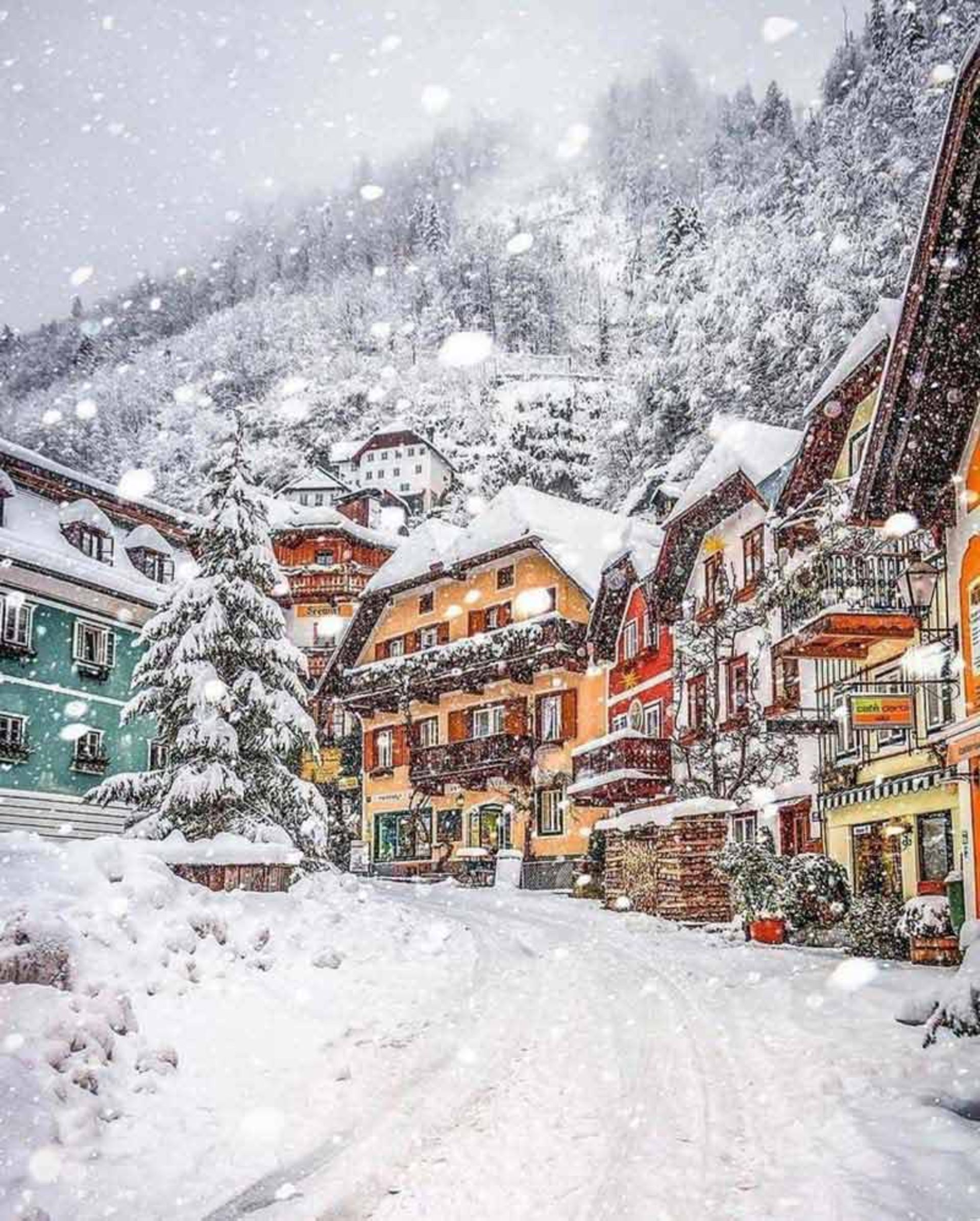 برف سنگین در هال اشتات