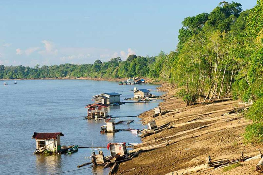 ساحلی در جزیره بورنئو (Kalimantan, Borneo)