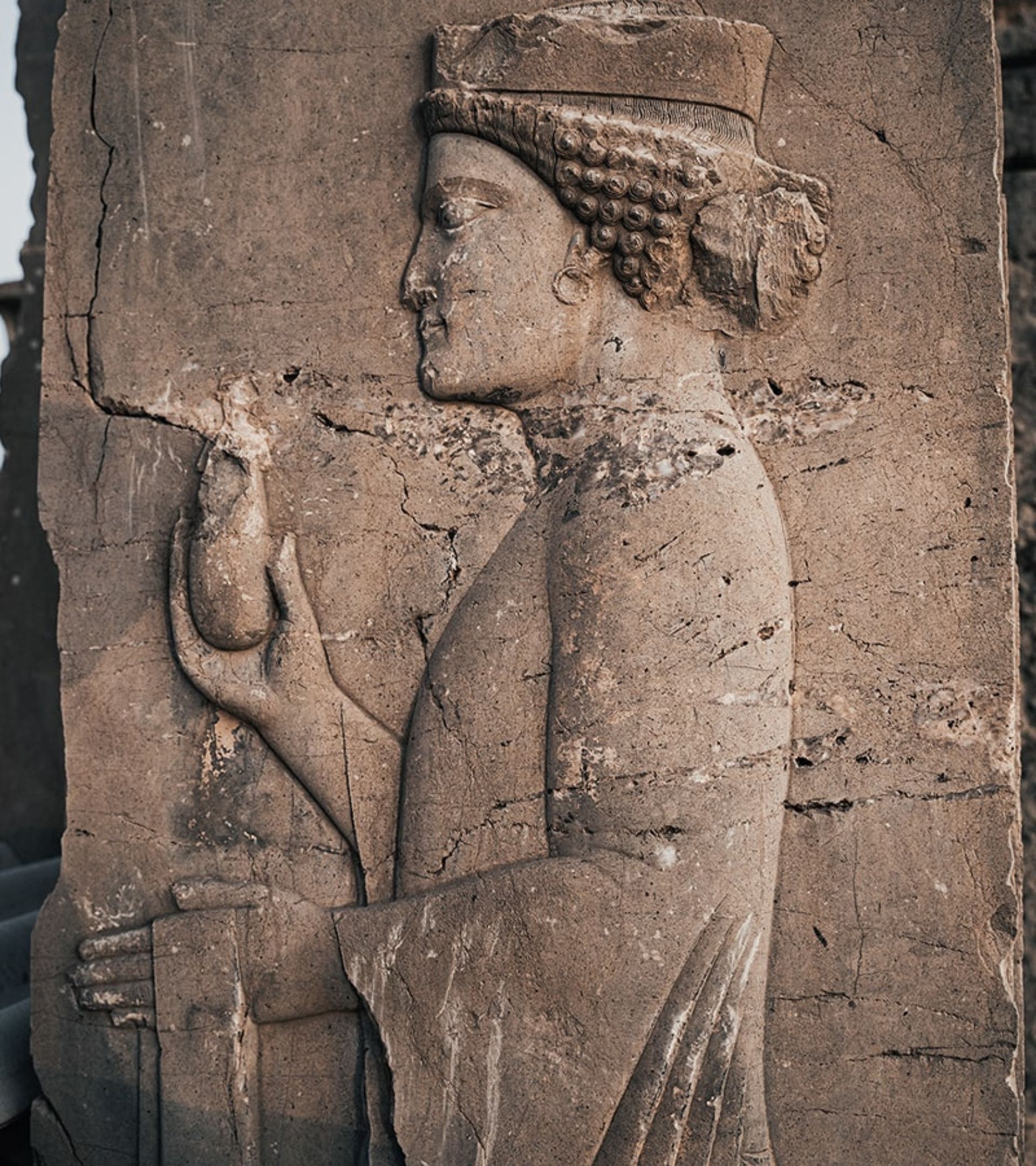 حجاری انسان روی یکی از ستون های تخت جمشید، منبع عکس: اینستاگرام daaaniiaaal@، عکاس: دانیال پایمرد