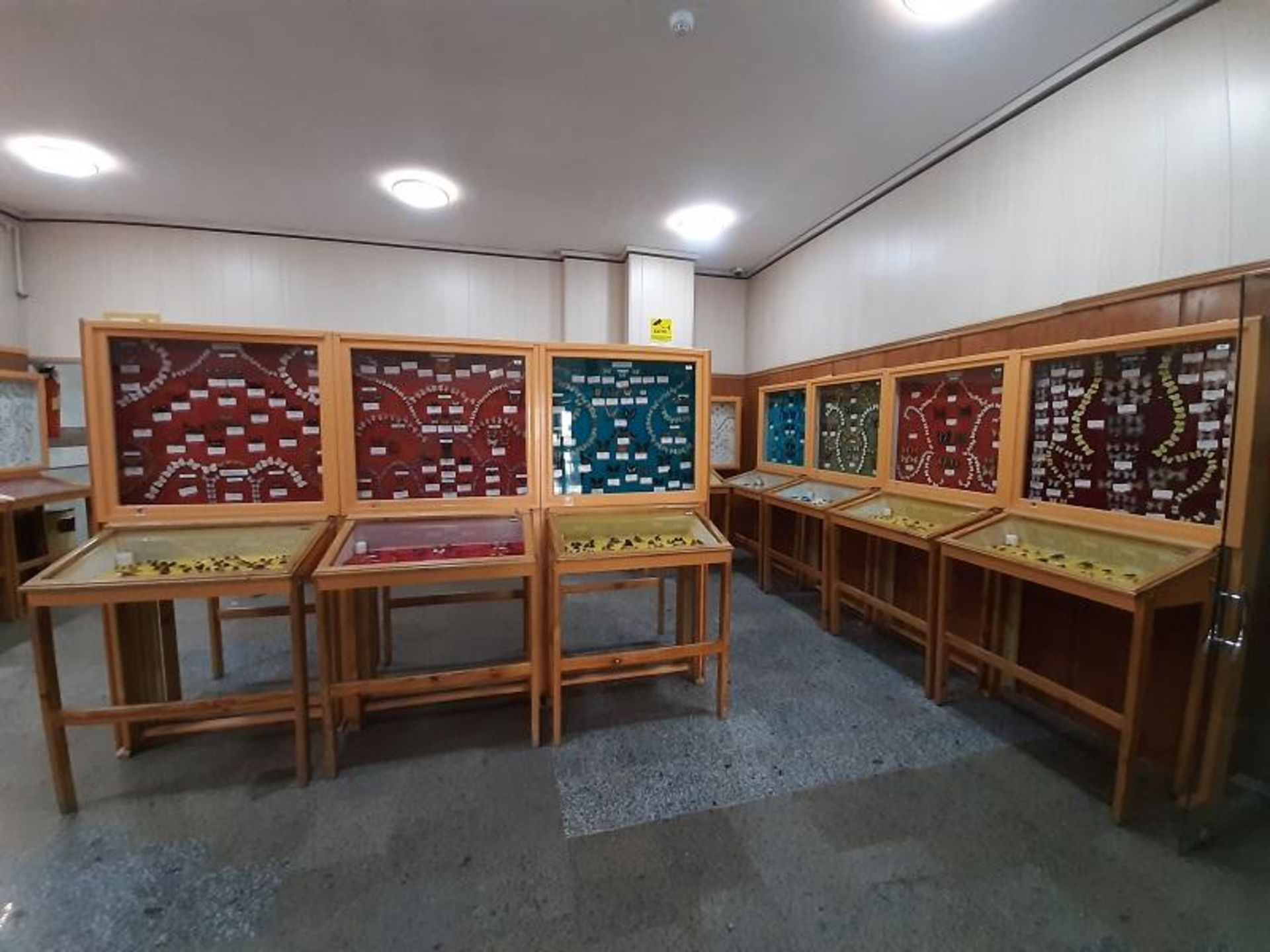 موزه تاریخ طبیعی همدان؛ منبع عکس: گوگل مپ؛ عکاس: Hossein Travels 