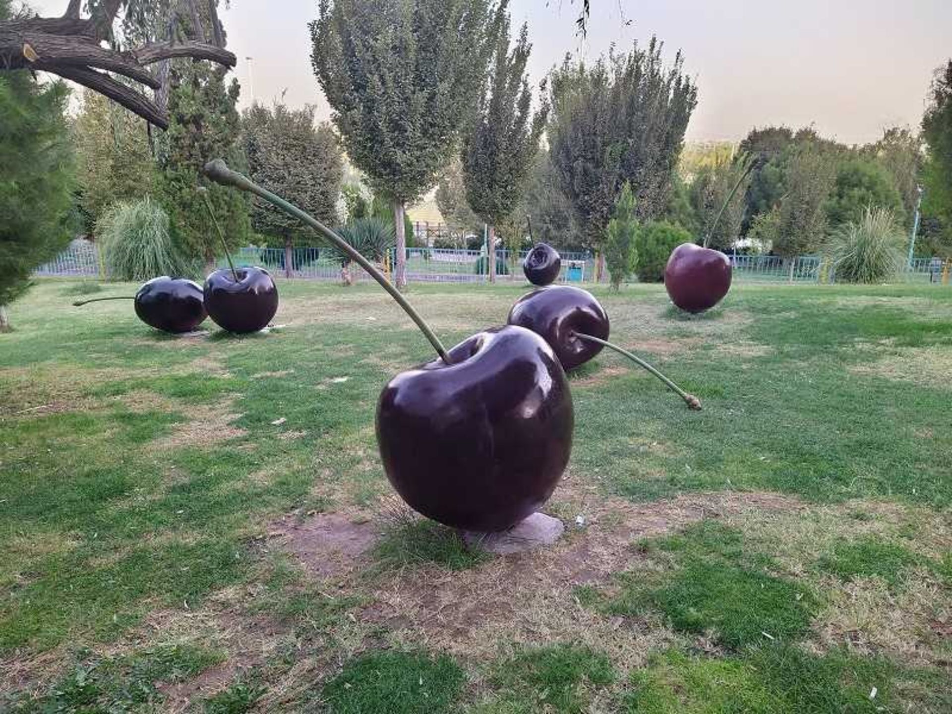 فضای سبز بوستان کوهستان یزد؛ منبع عکس: گوگل مپ؛ عکاس: Pazan