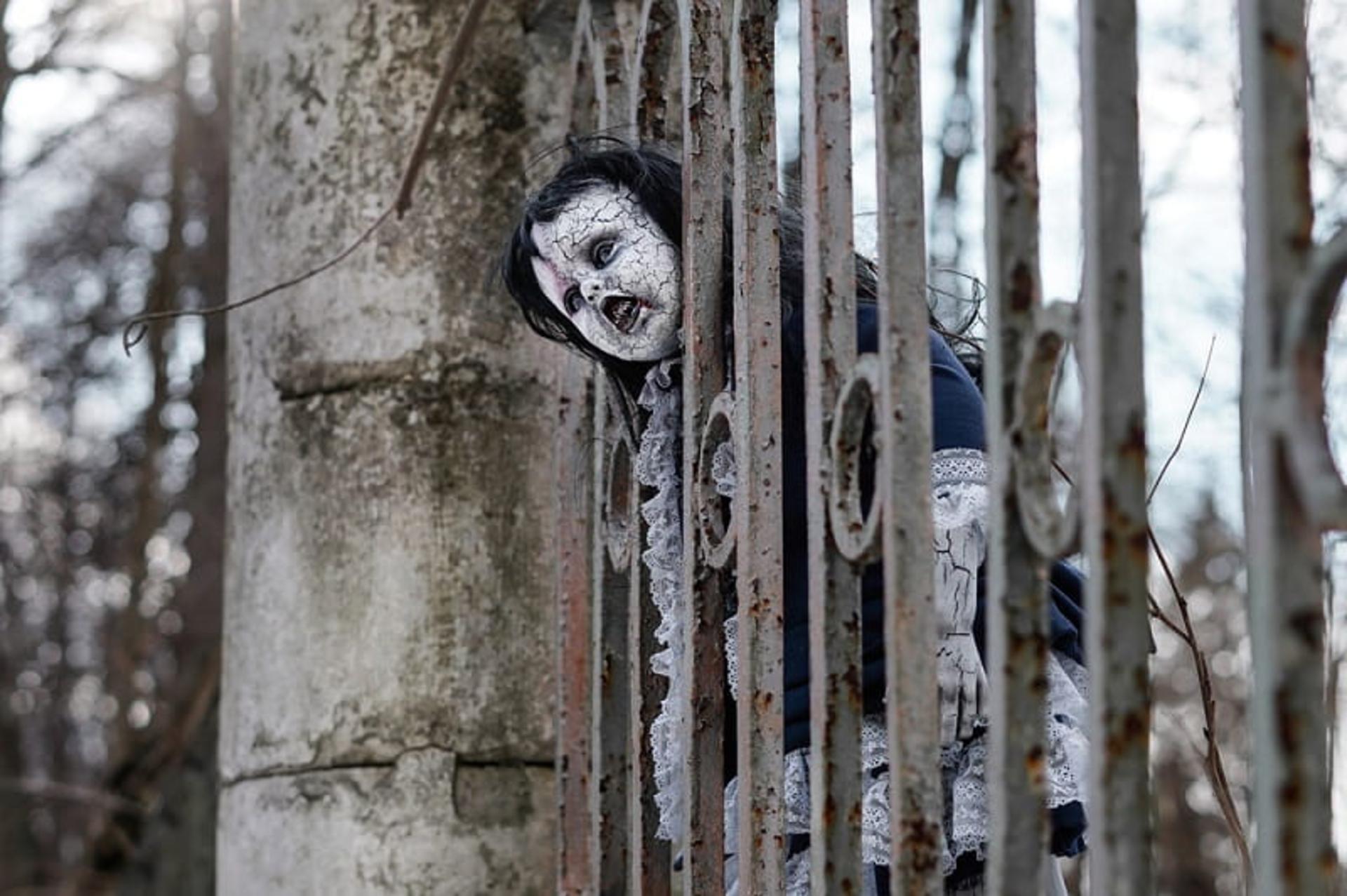 موزه عروسک‌های مرده، منبع: dead-dolls.museum