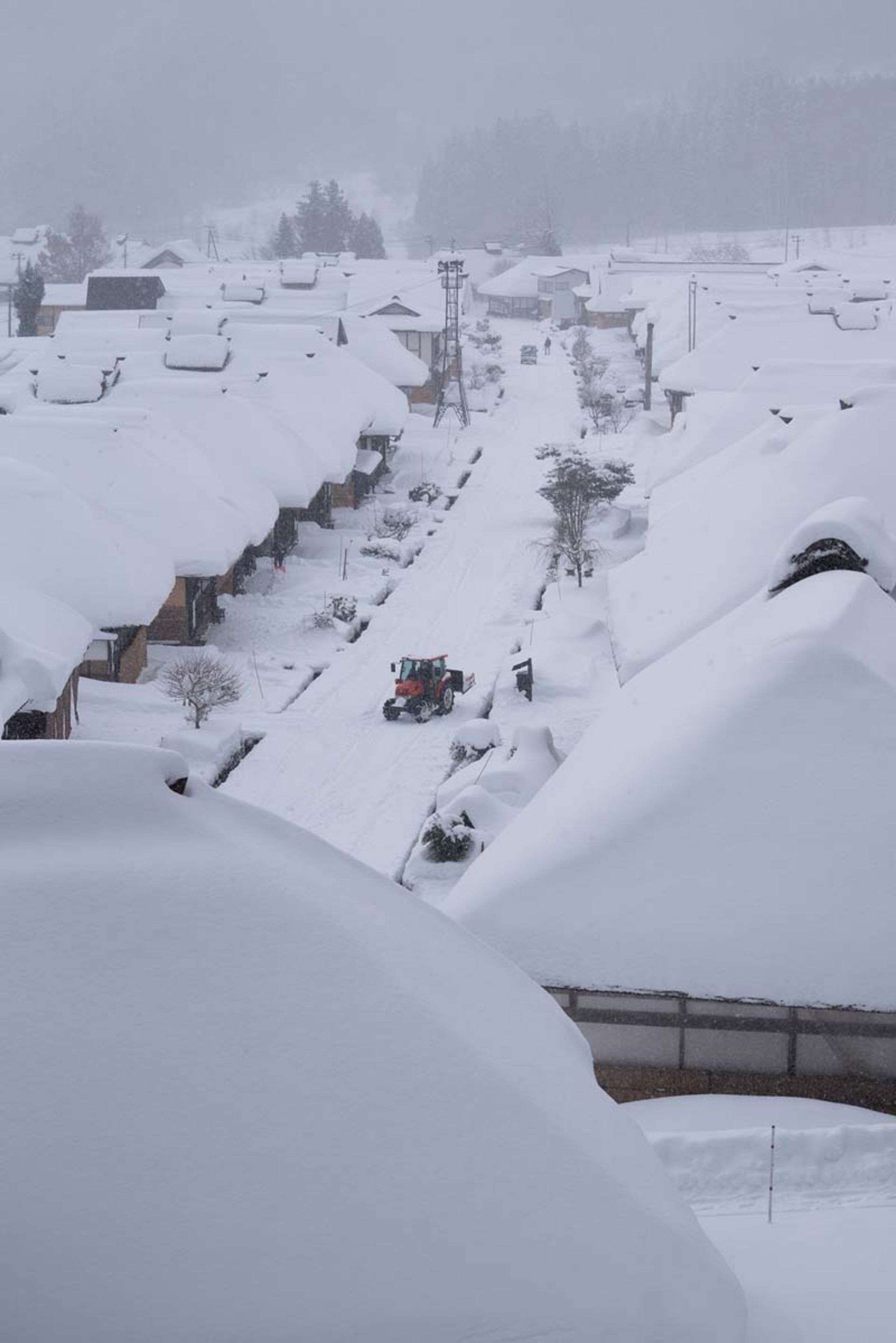 کوهستان برفی در ژاپن