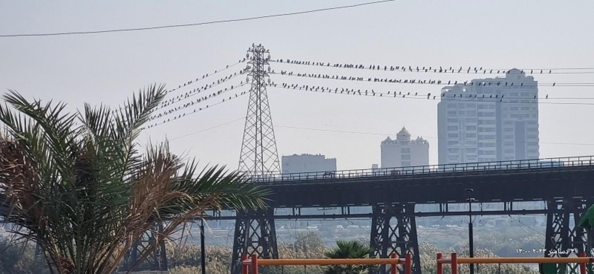 پل سیاه اهواز اولین پل اهواز؛ منبع عکس: گوگل مپ؛ عکاس: محمدرضا اورشال