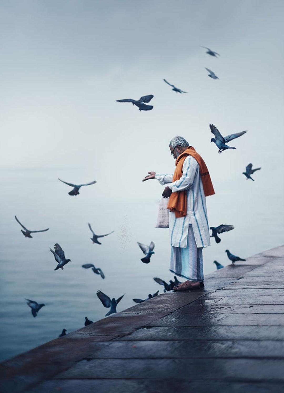 مرد بنارسی در حال غذا دادن به پرنده‌ها