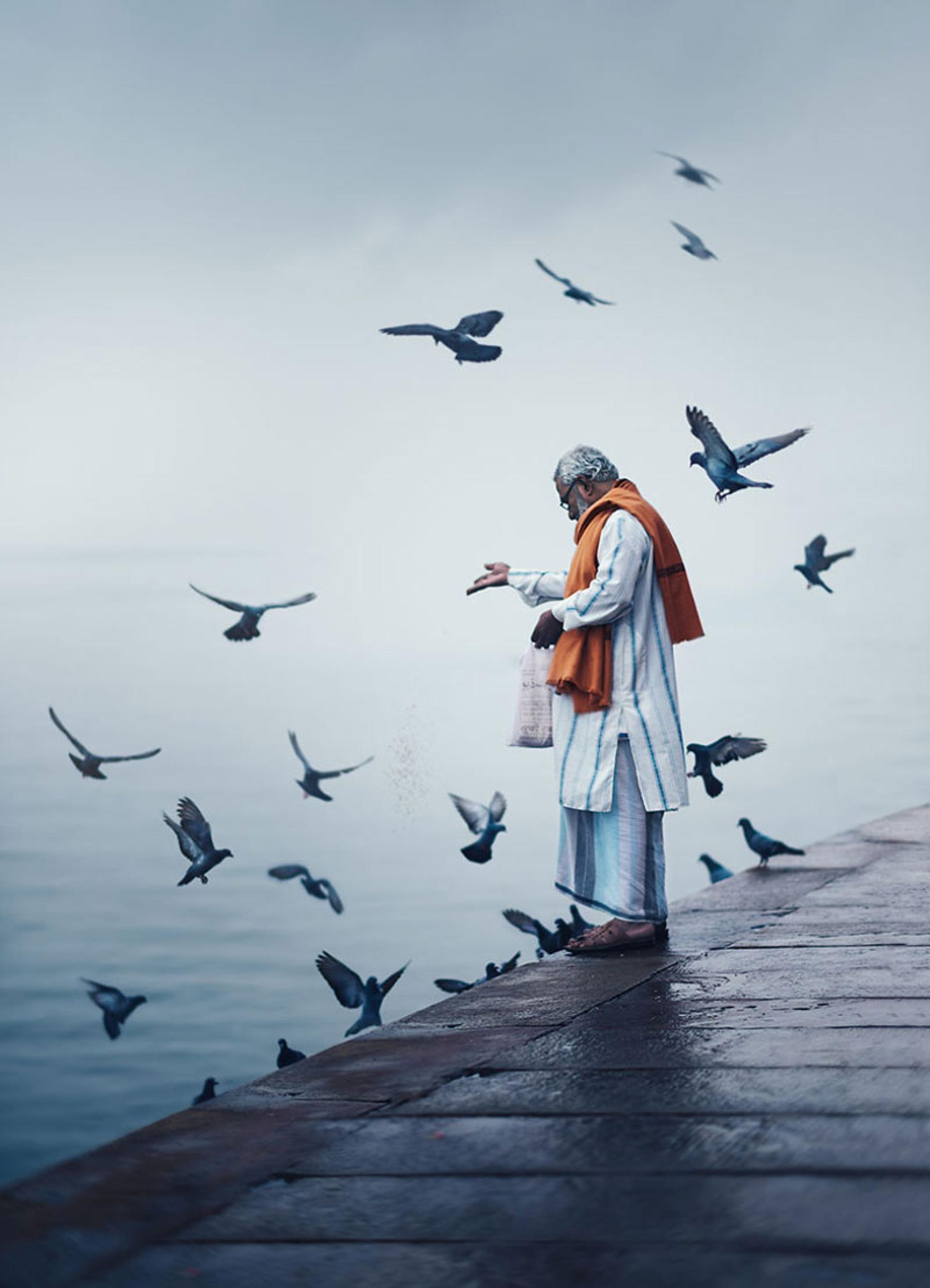 مرد بنارسی در حال غذا دادن به پرنده‌ها