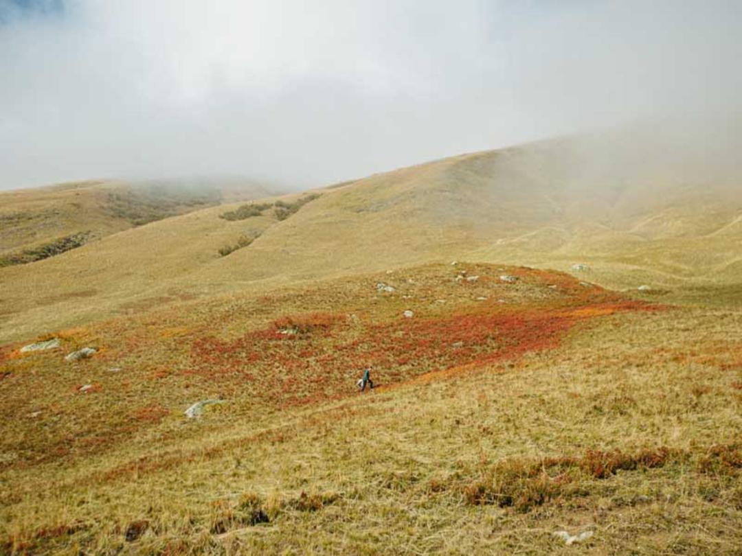 کوهستان و تپه‌هایی زرد رنگ در اروپا 