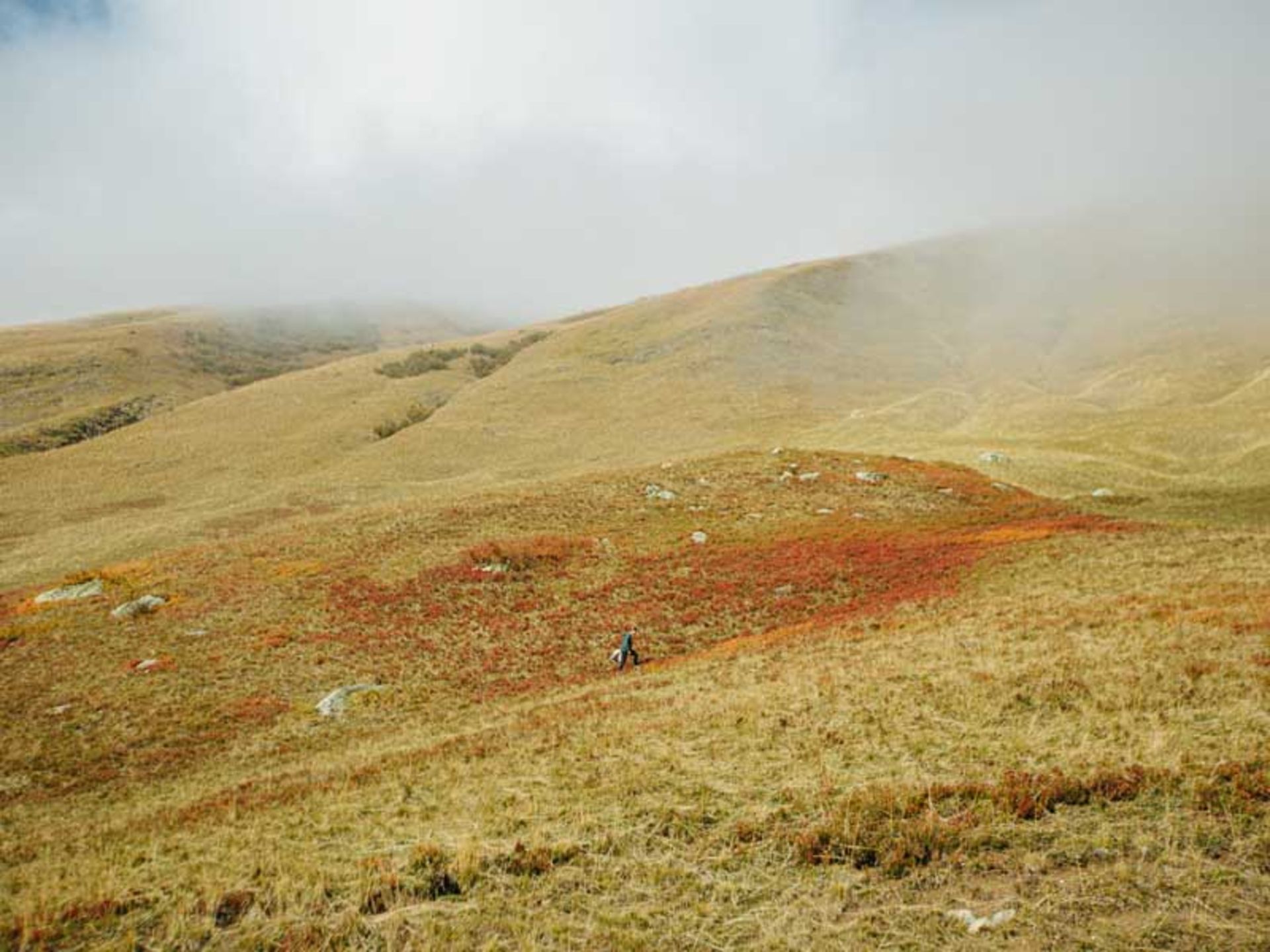 کوهستان و تپه‌هایی زرد رنگ در اروپا 