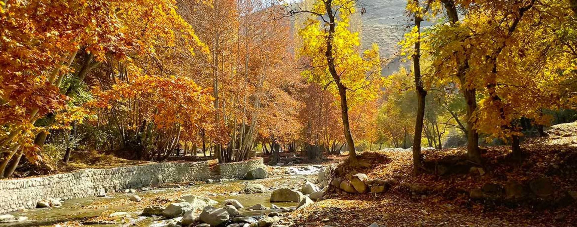 روستای برغان؛ منبع عکس: گوگل مپ؛ عکاس: سعید اسکندری