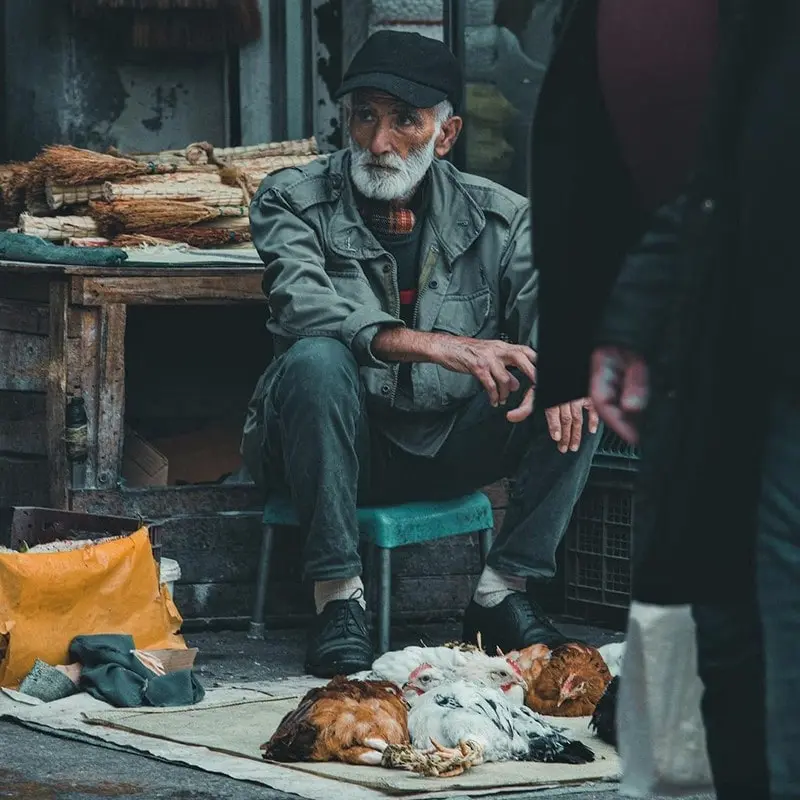پیرمرد رشتی در حال فروش پرنده