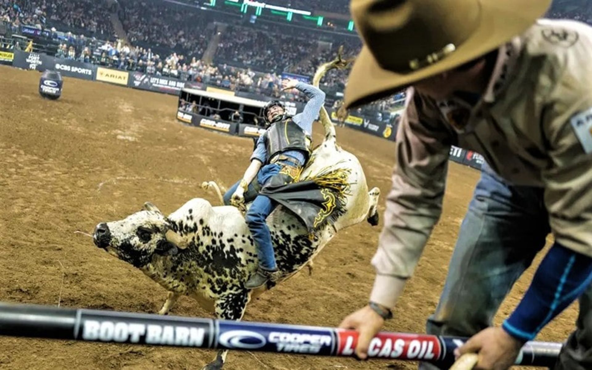 گاوبازی در آمریکا