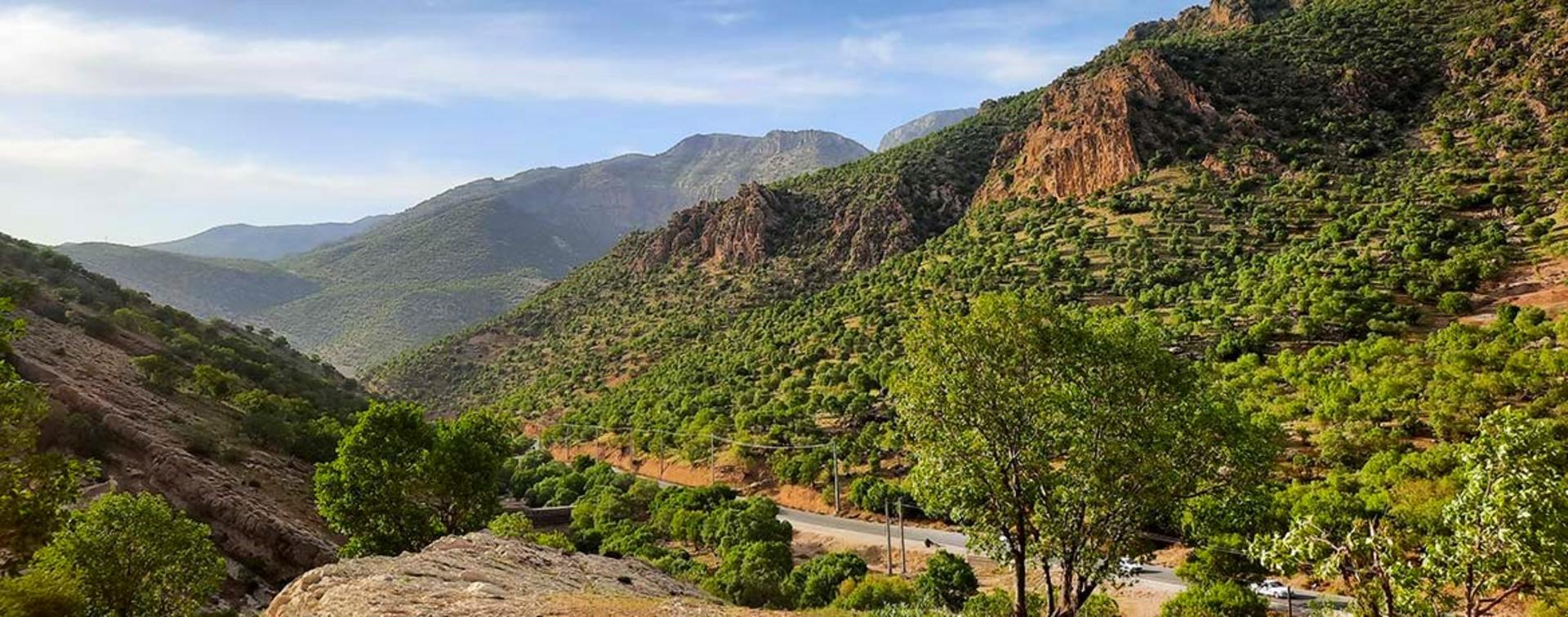 تنگه ارغوان؛ منبع عکس: گوگل مپ؛ عکاس: Iran-98