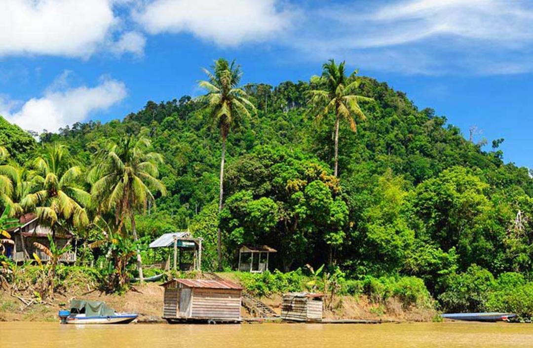جزیره بورنئو (Kalimantan, Borneo) سومین جزیره بزرگ جهان