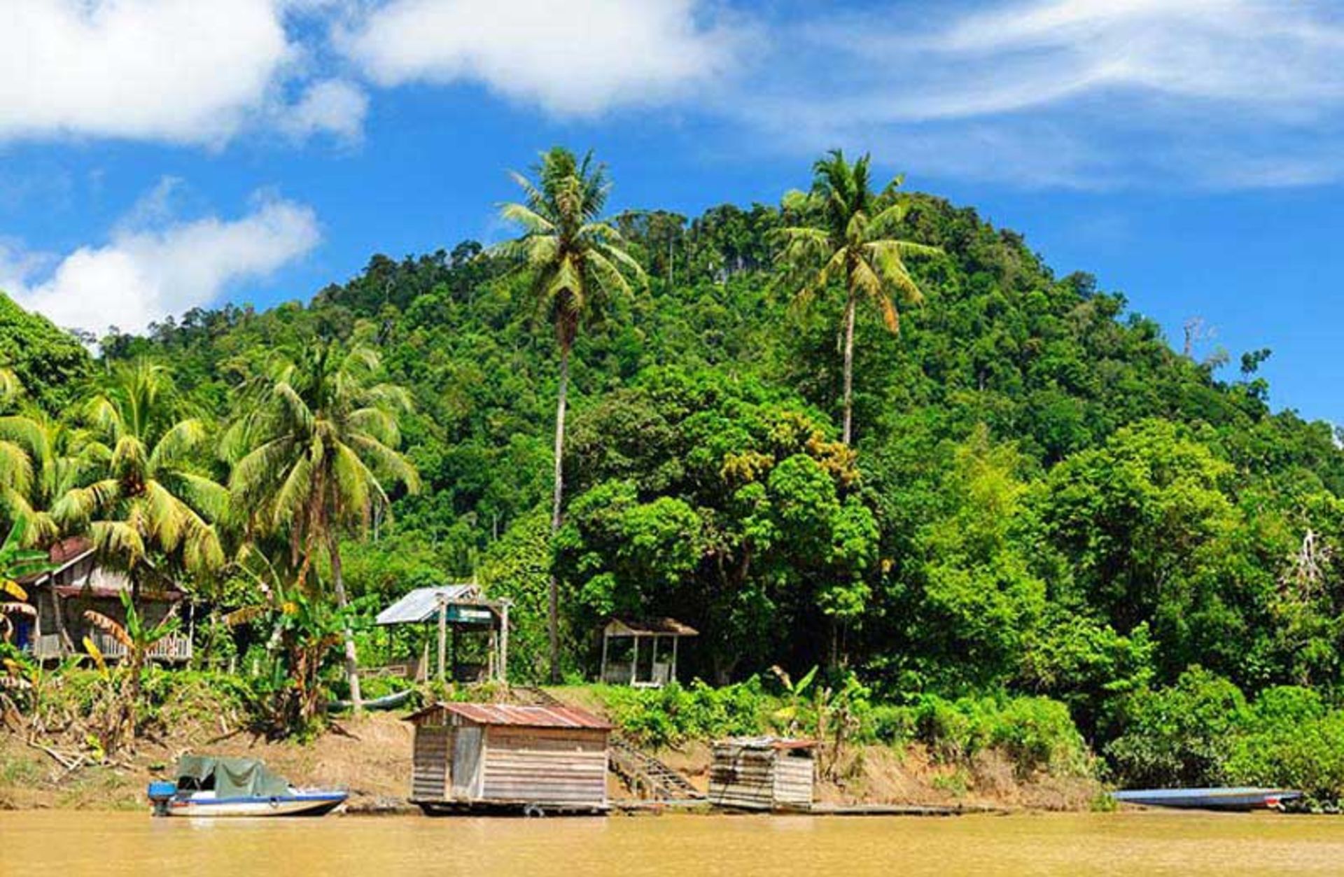 جزیره بورنئو (Kalimantan, Borneo) سومین جزیره بزرگ جهان