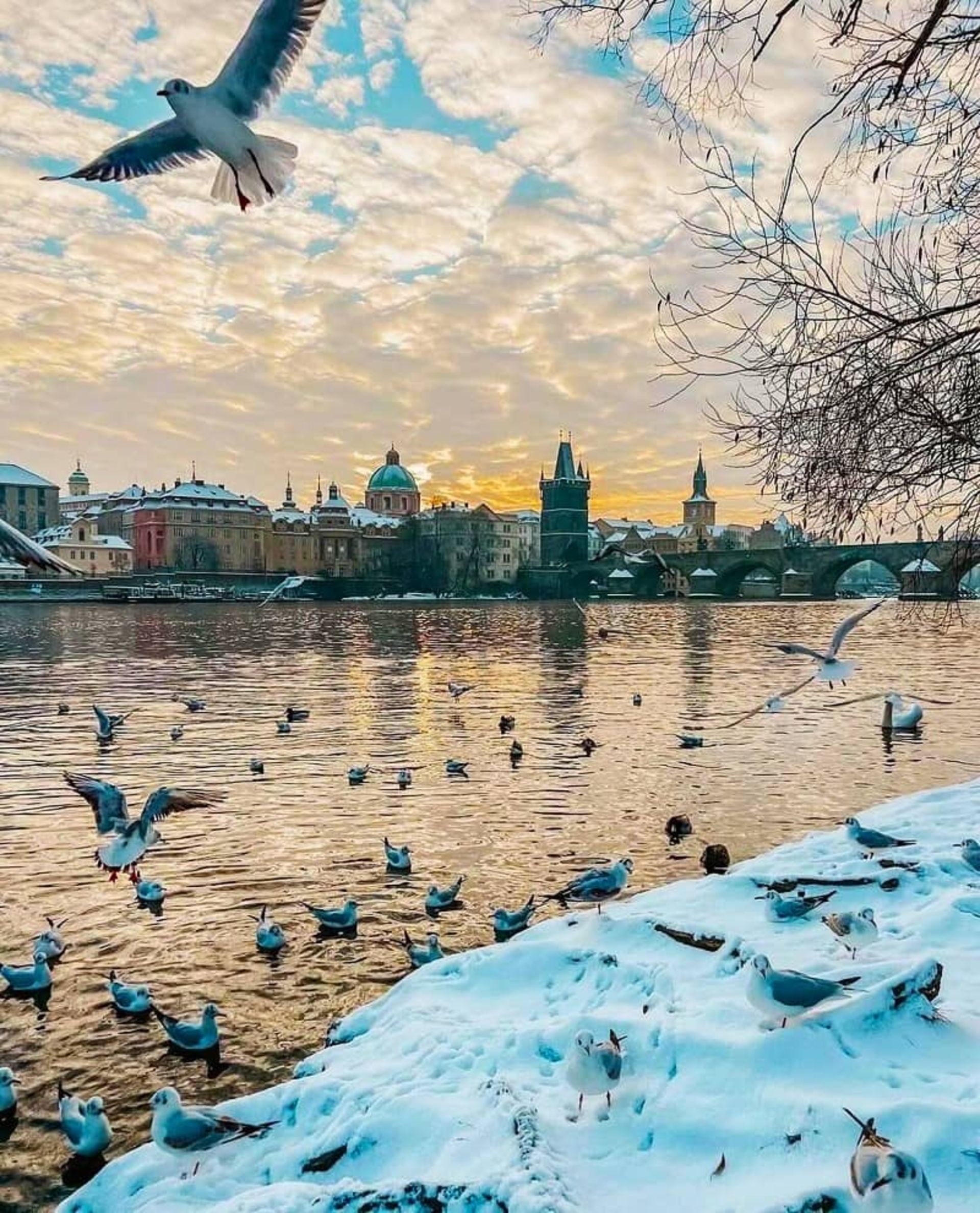 پل کارل، منبع: صفحه اینستاگرام praugetravelers