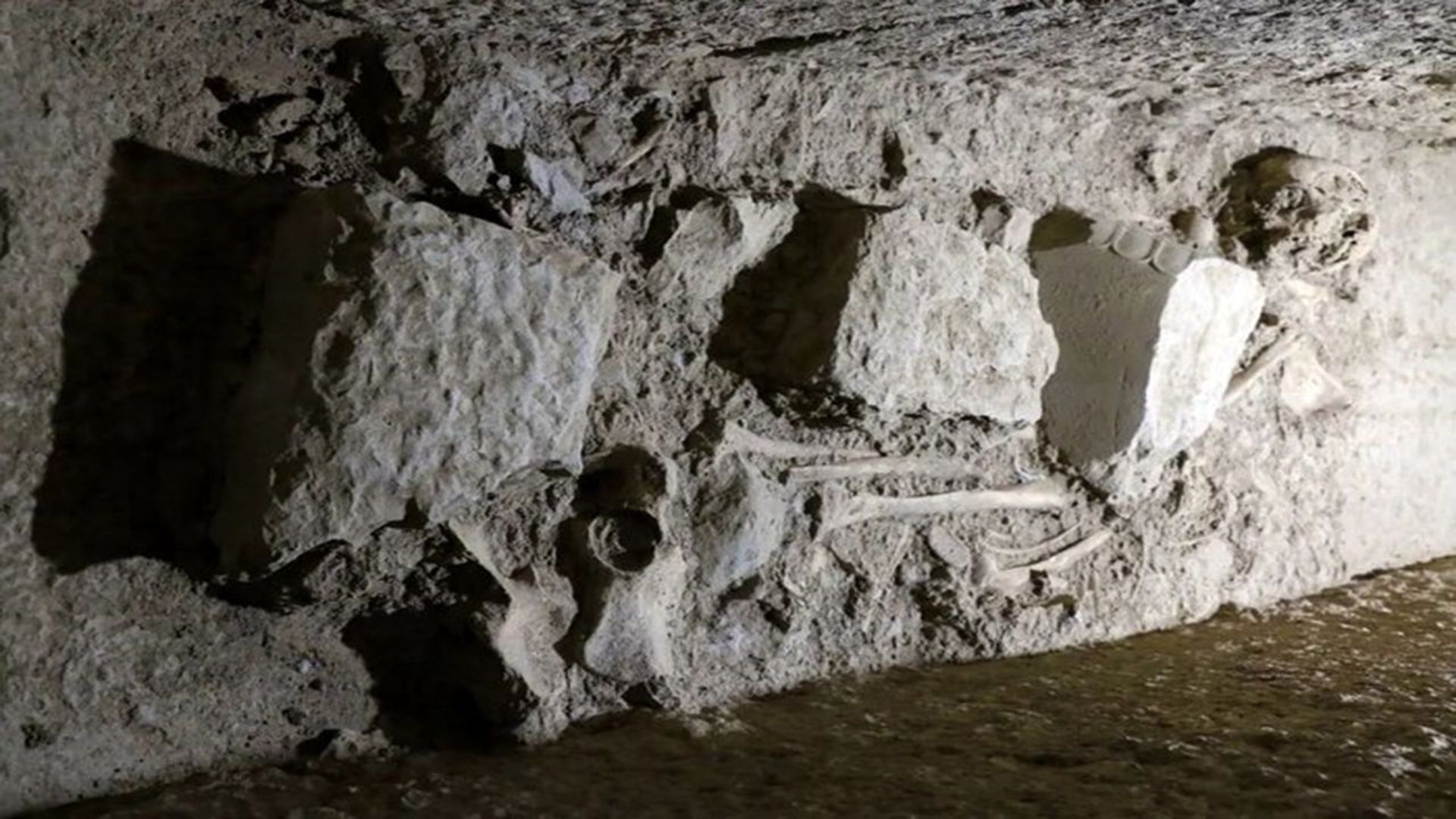 اسکلت تخت جمشید