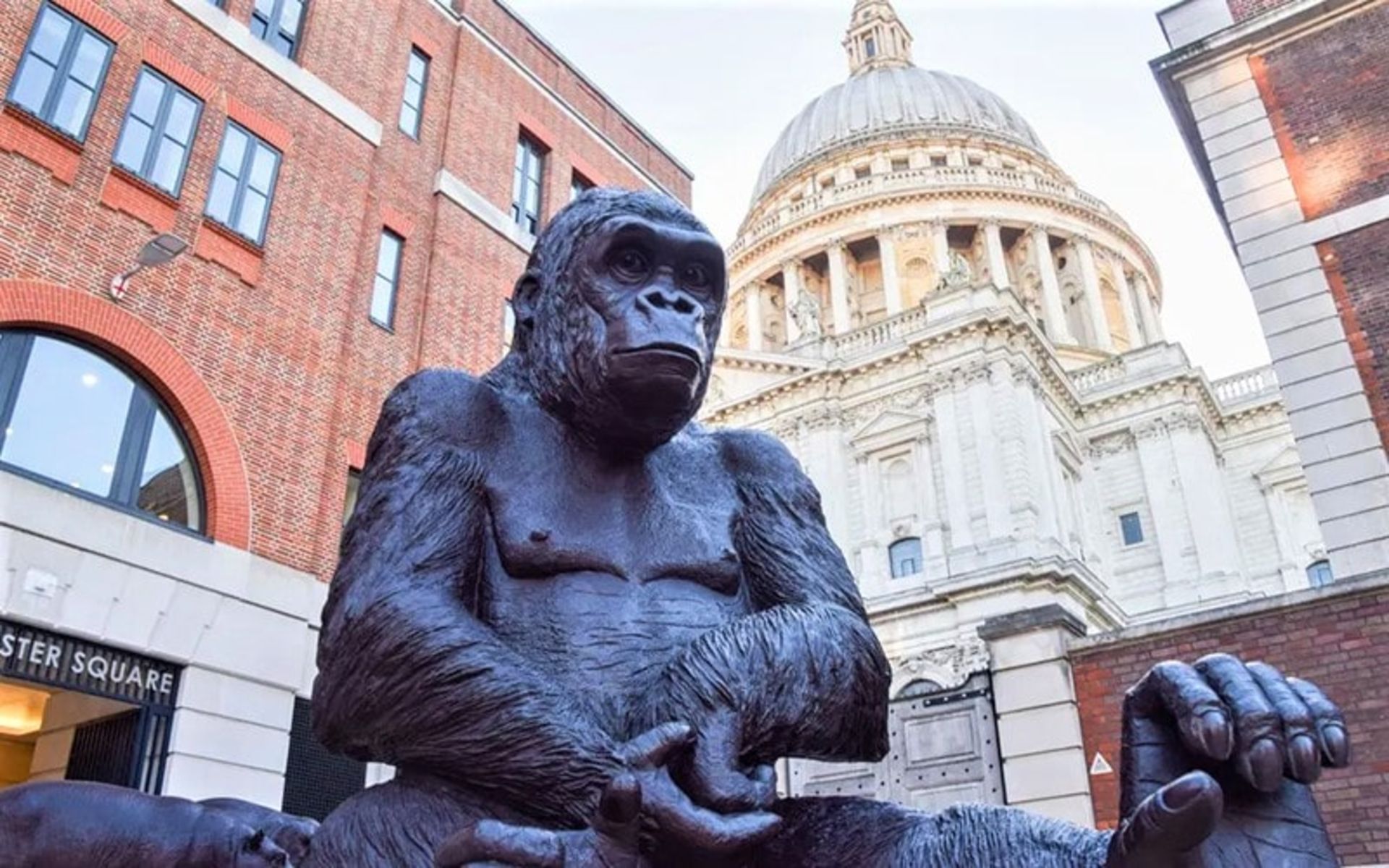 مجسمه بزرگ گوریل