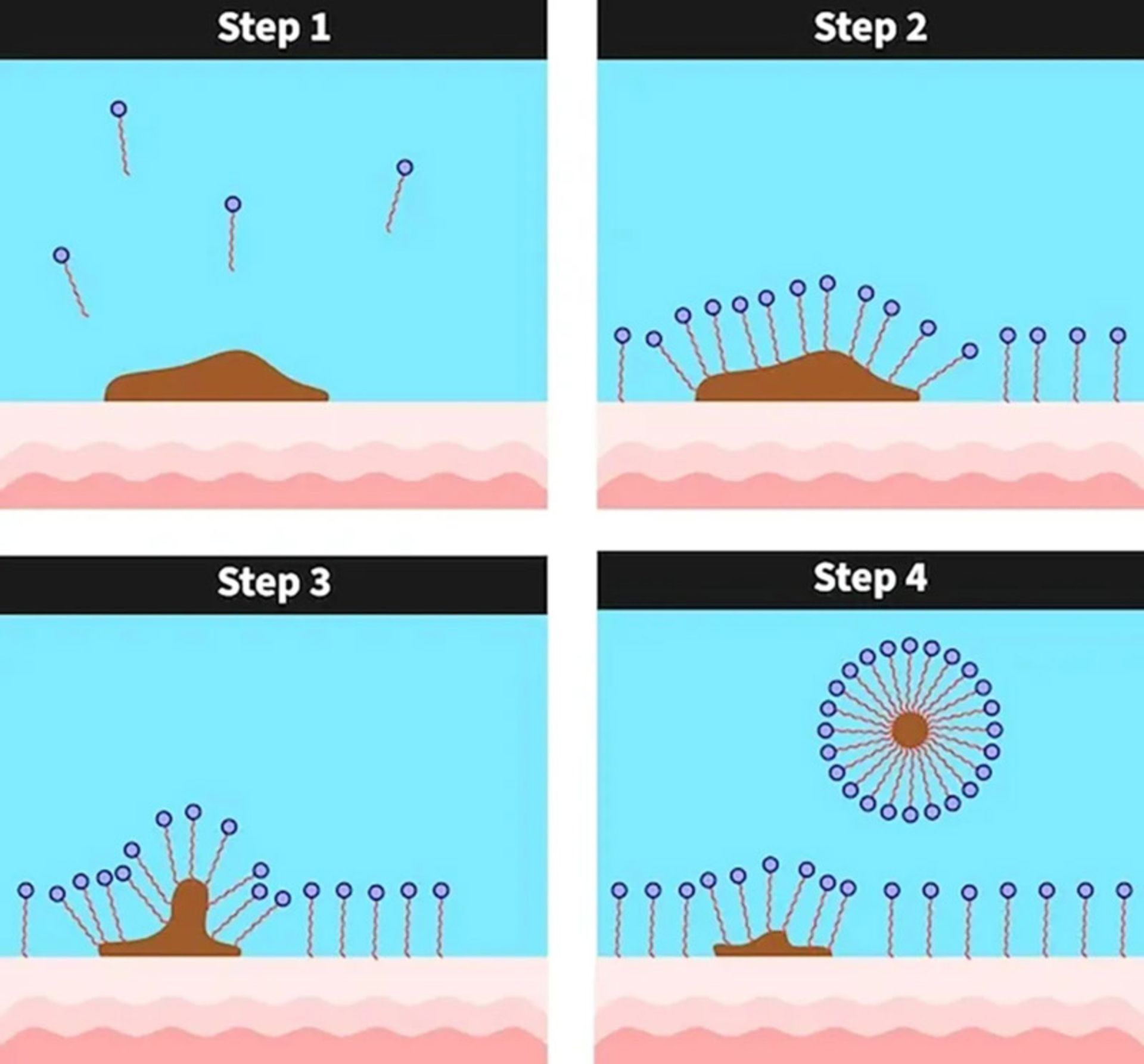 نمودار زدون آلودگی از سطح پوست؛ منبع عکس: livescience؛ نام عکاس: نامشخص 
