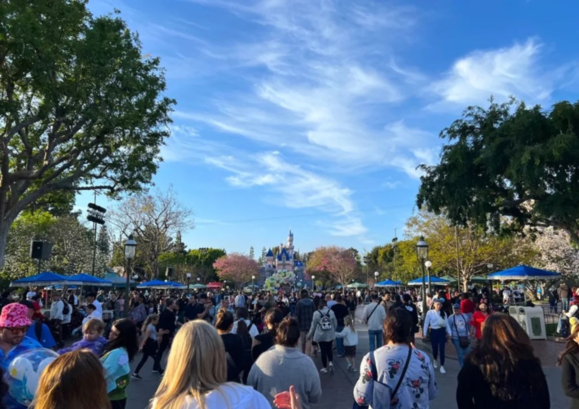 بوهای جادویی دیزنی‌لند