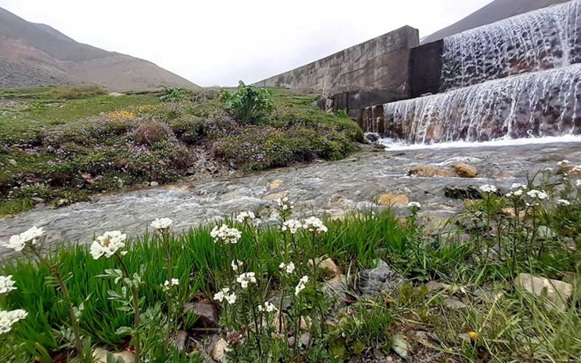 2024-10-5d35aee4-ba4a-4fd1-bf3b-f53e4689c1d5