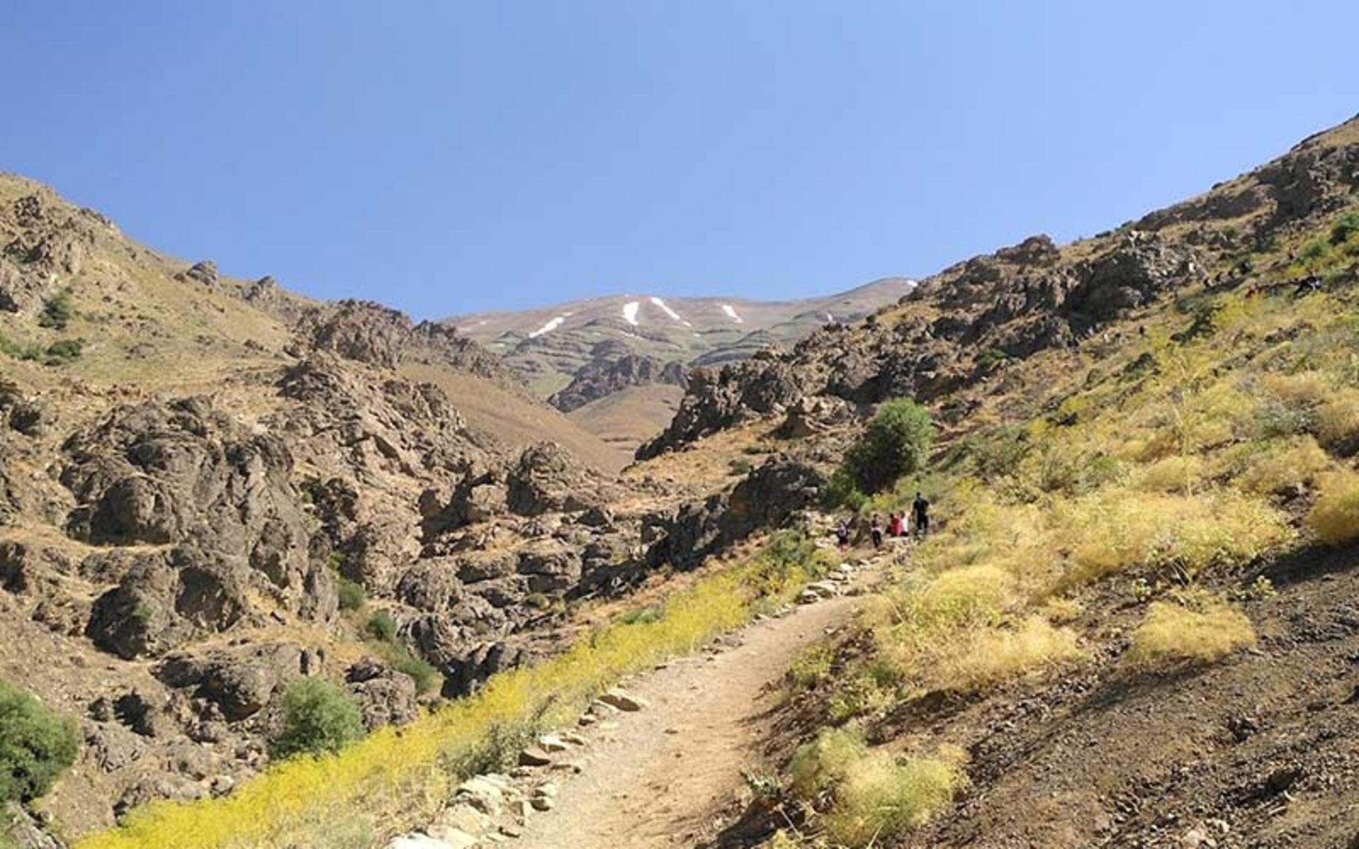 کوهنوردی در پلنگچال، منبع عکس: گوگل مپ، عکاس: سید هاشم موسوی