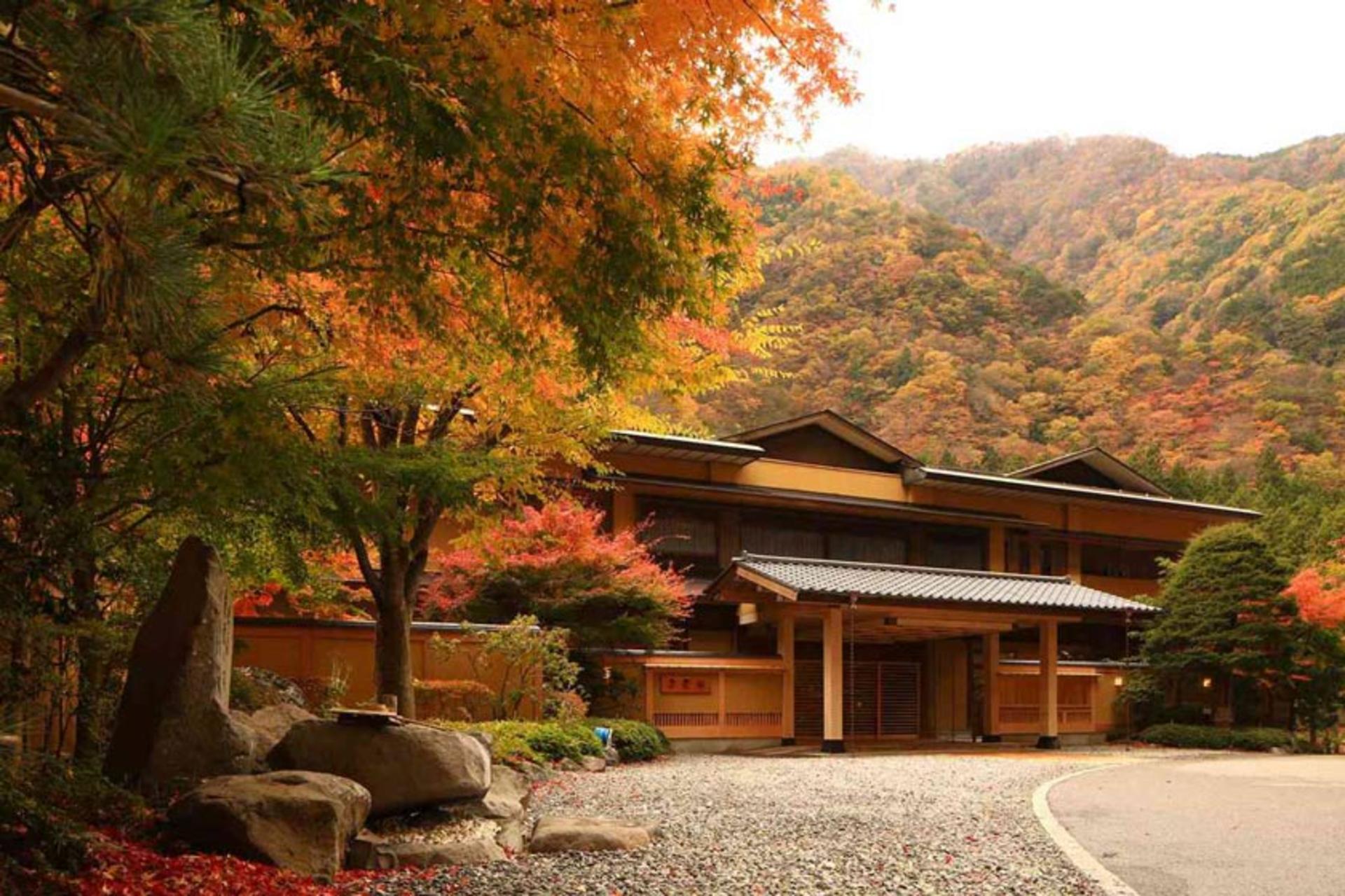 هتل نیشیاما اونسن کیونکان قدیمی ترین هتل جهان در میان درختان؛ منبع عکس: Travel + Leisure، عکاس: JNTO